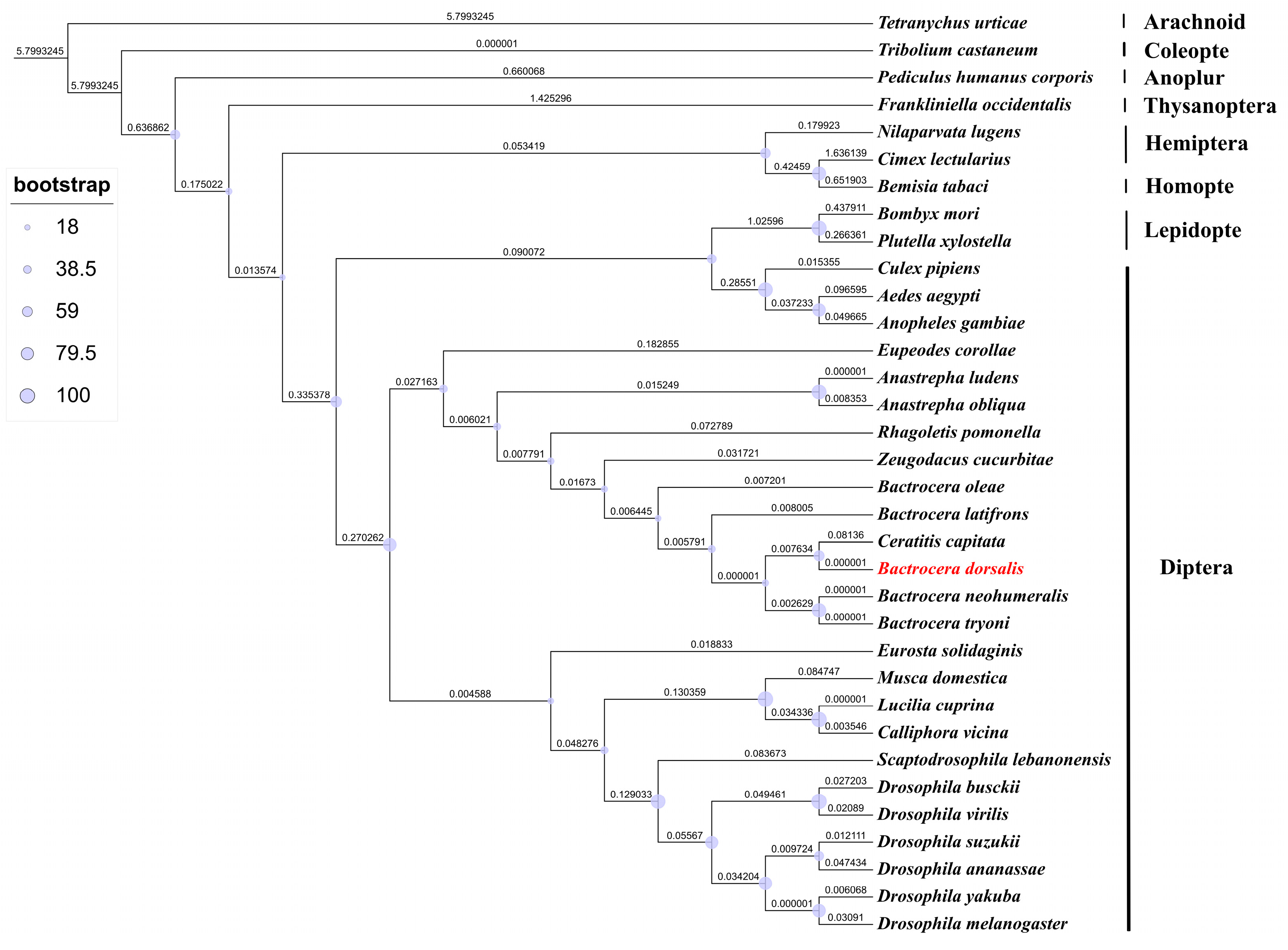 Insects 16 00479 g001