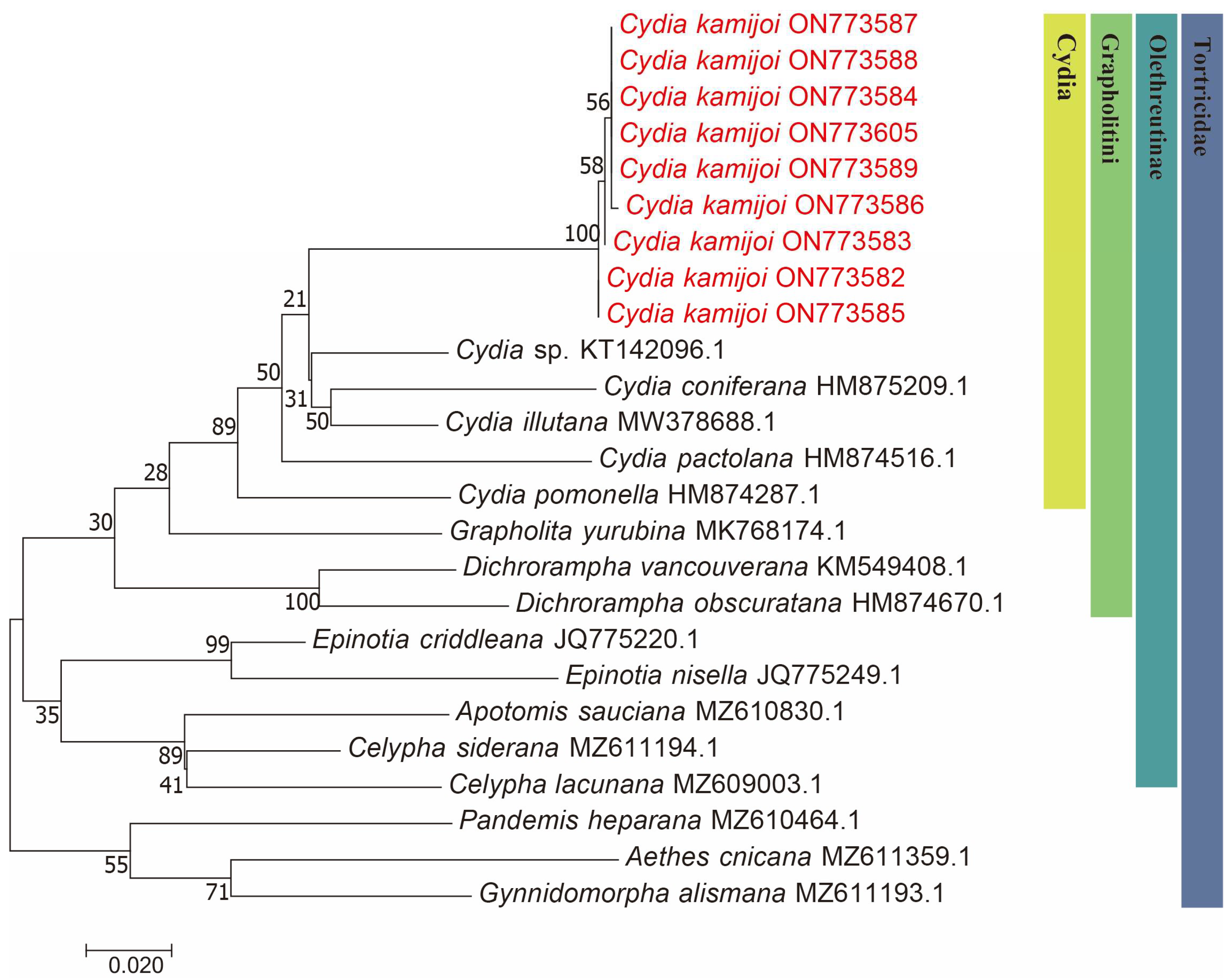 Insects 16 00485 g002