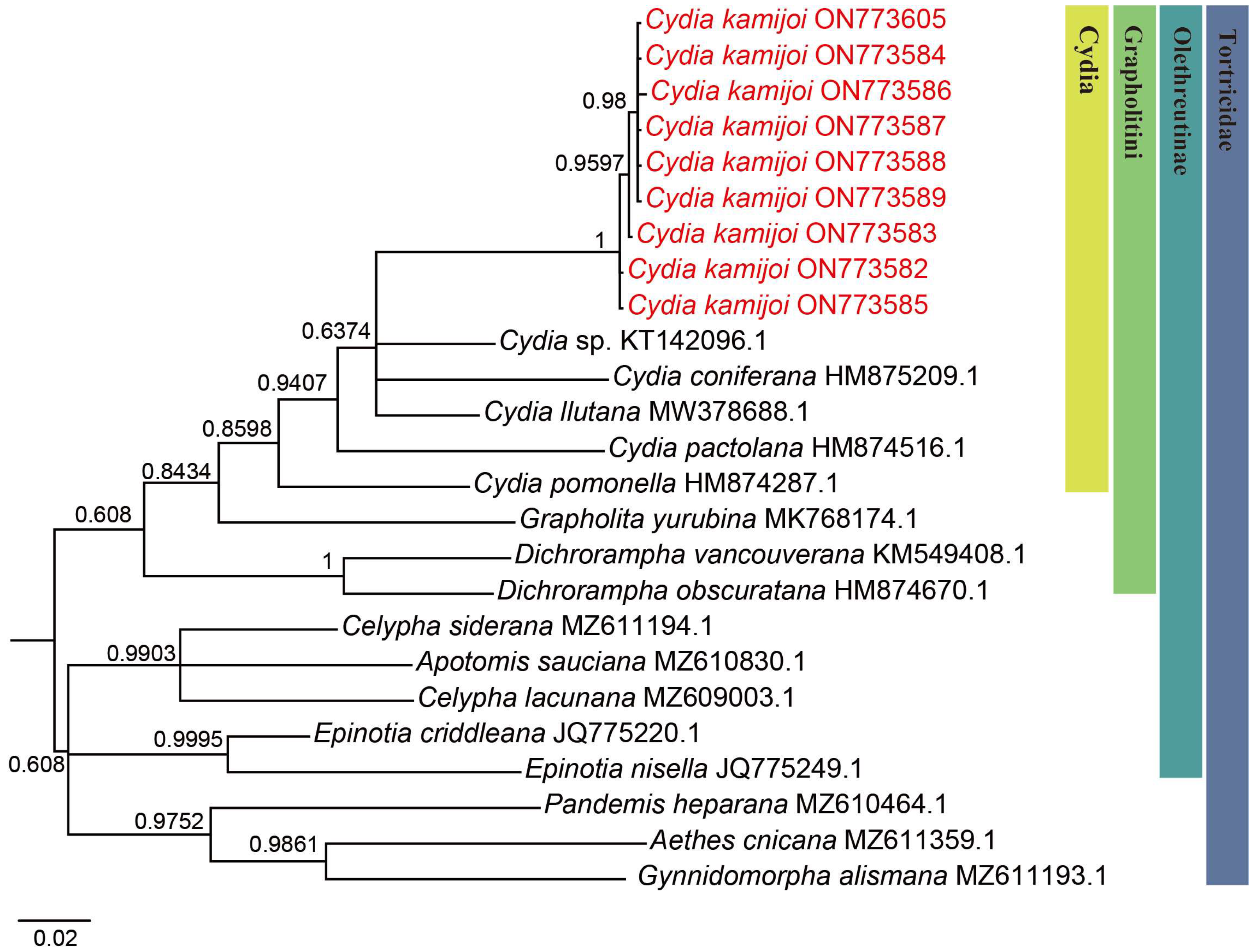 Insects 16 00485 g003