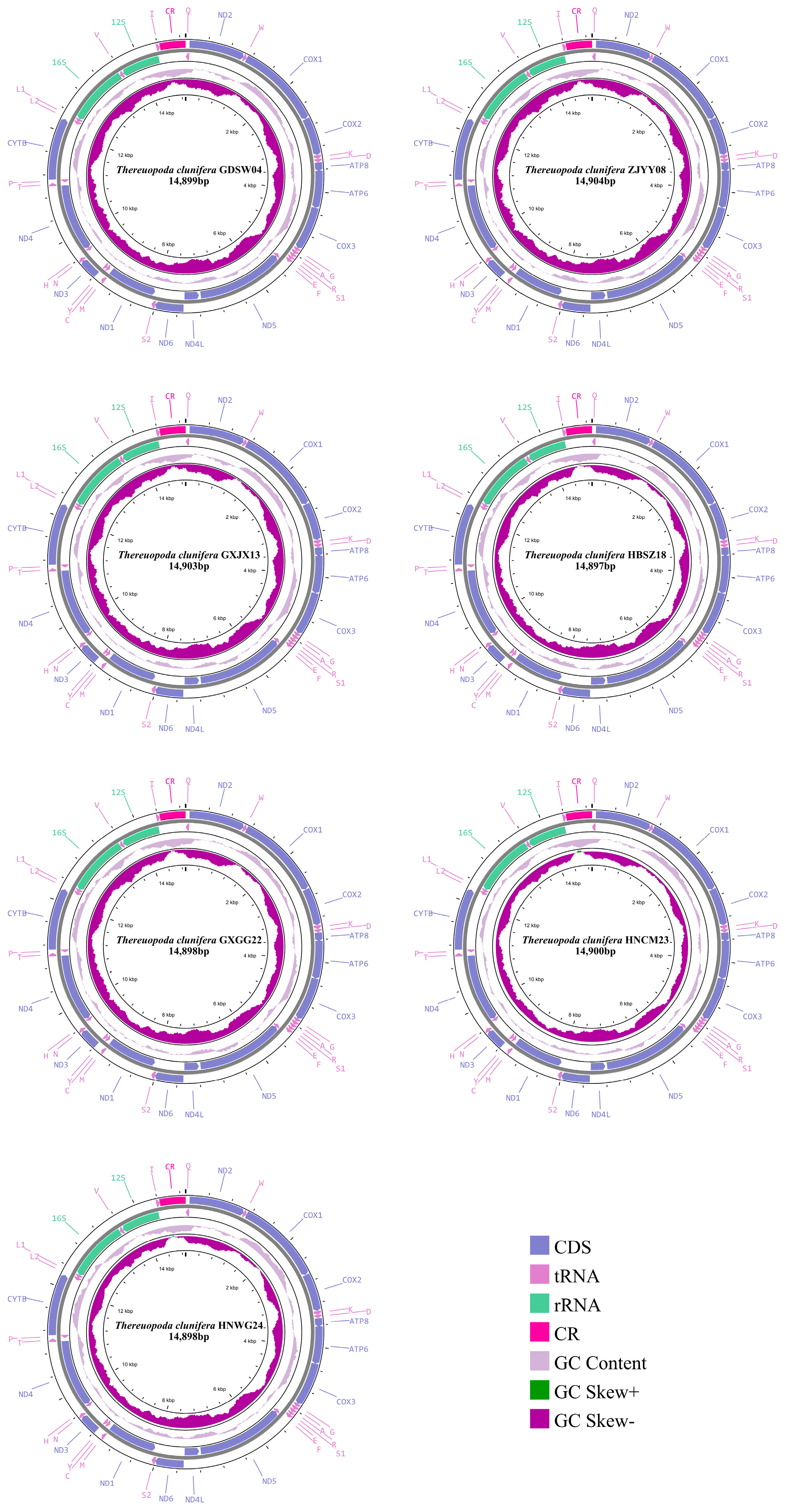 Insects 16 00486 g001