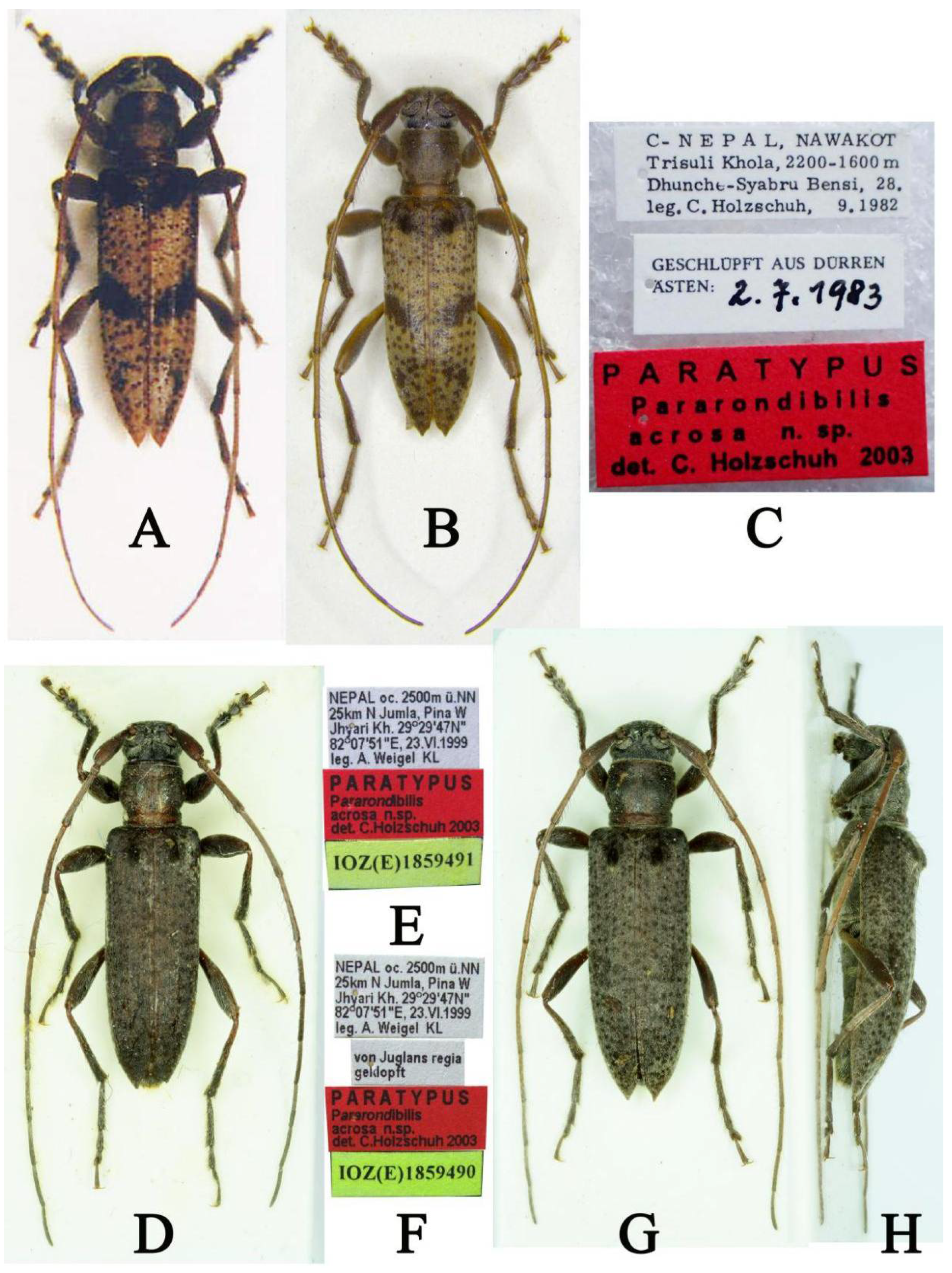 Insects 16 00488 g001