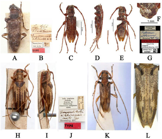 Insects 16 00488 g002