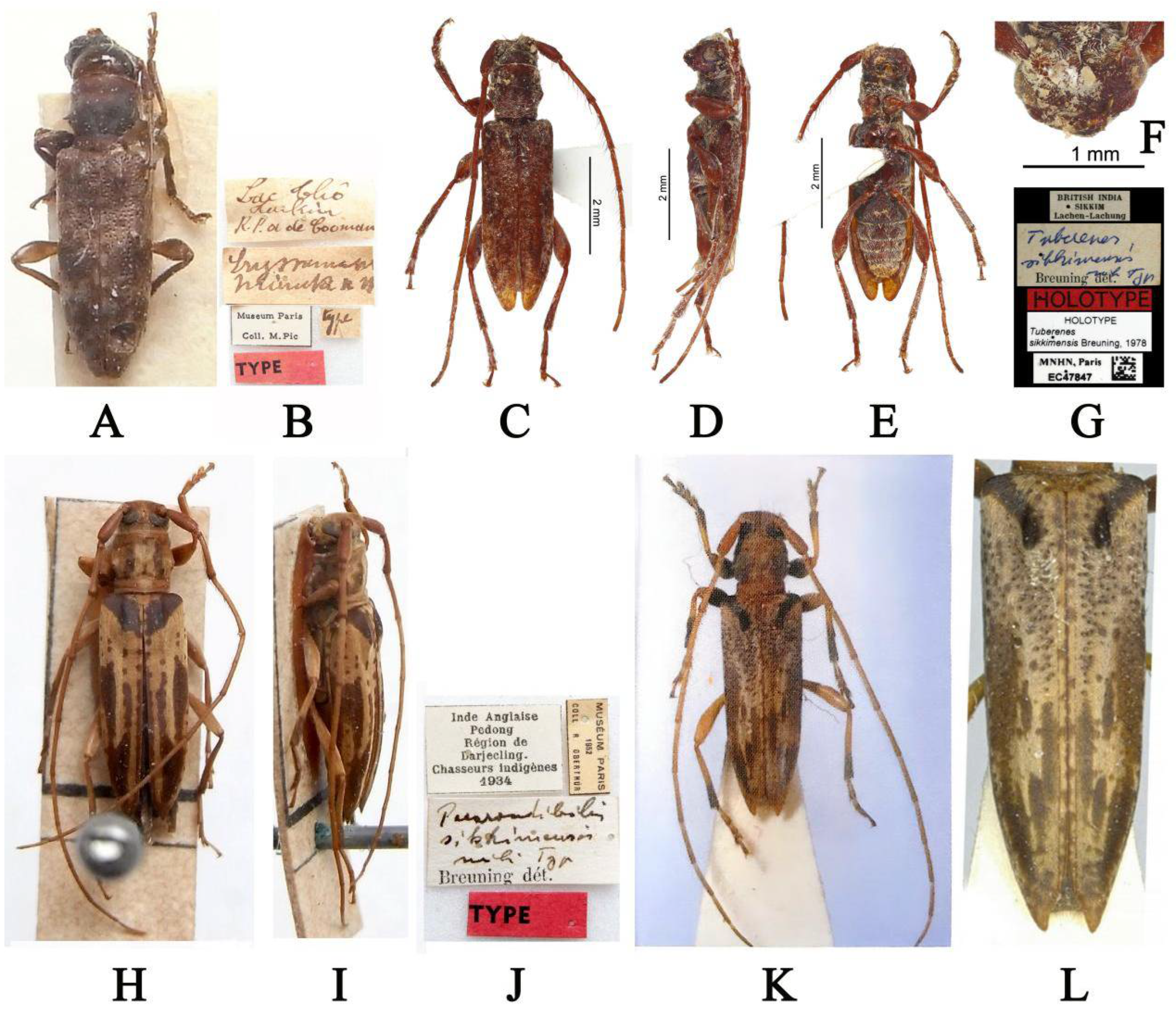 Insects 16 00488 g002