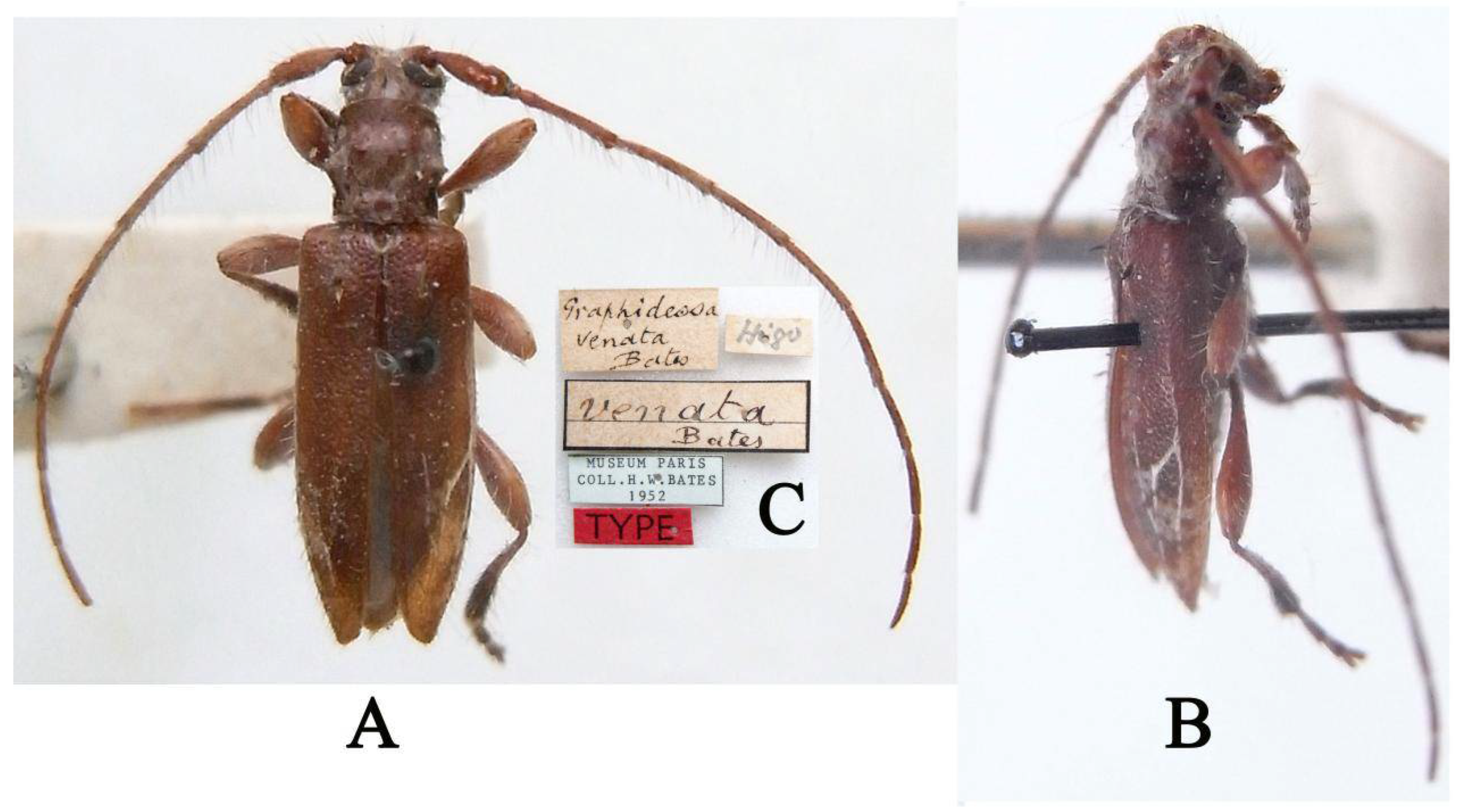 Insects 16 00488 g003