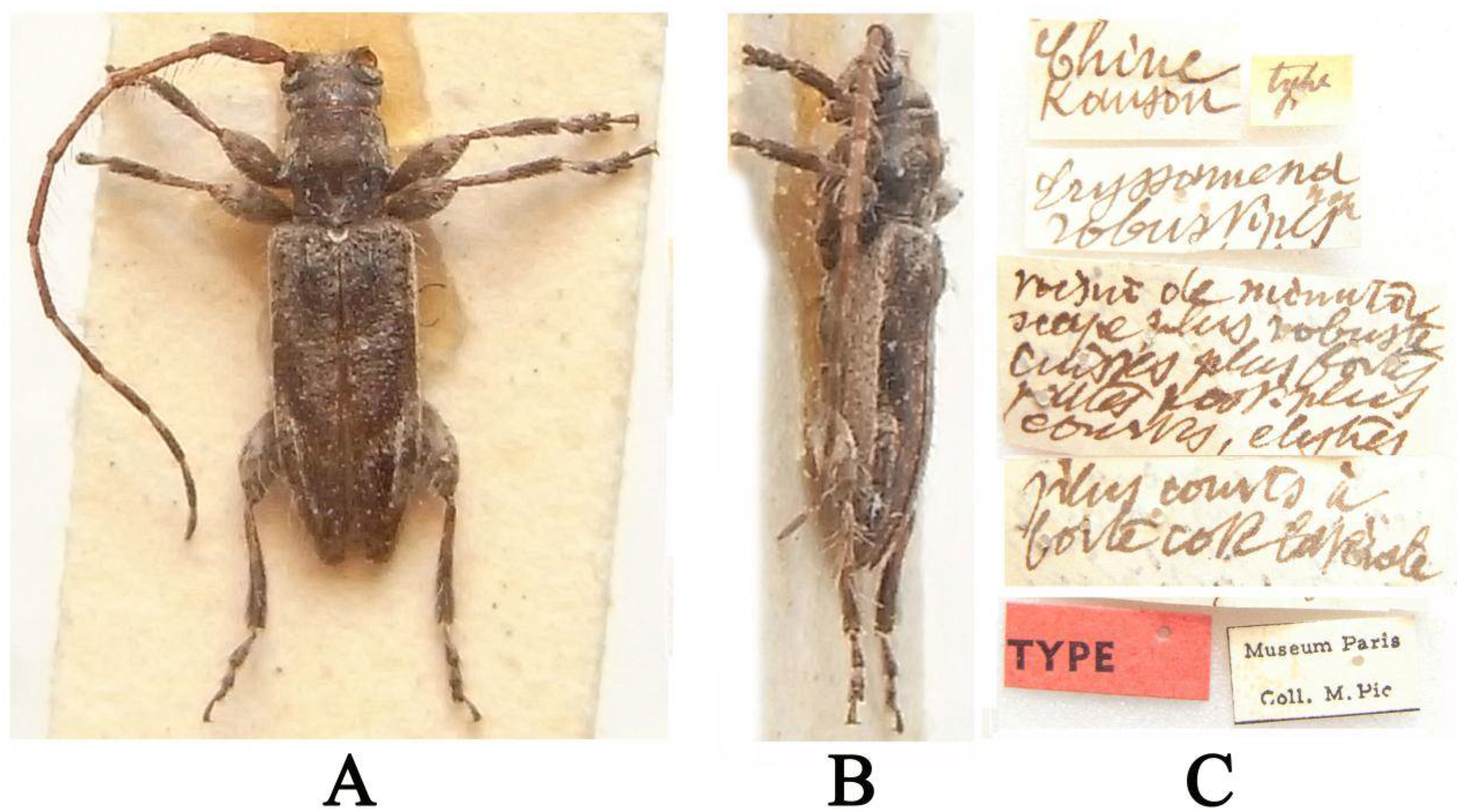 Insects 16 00488 g005