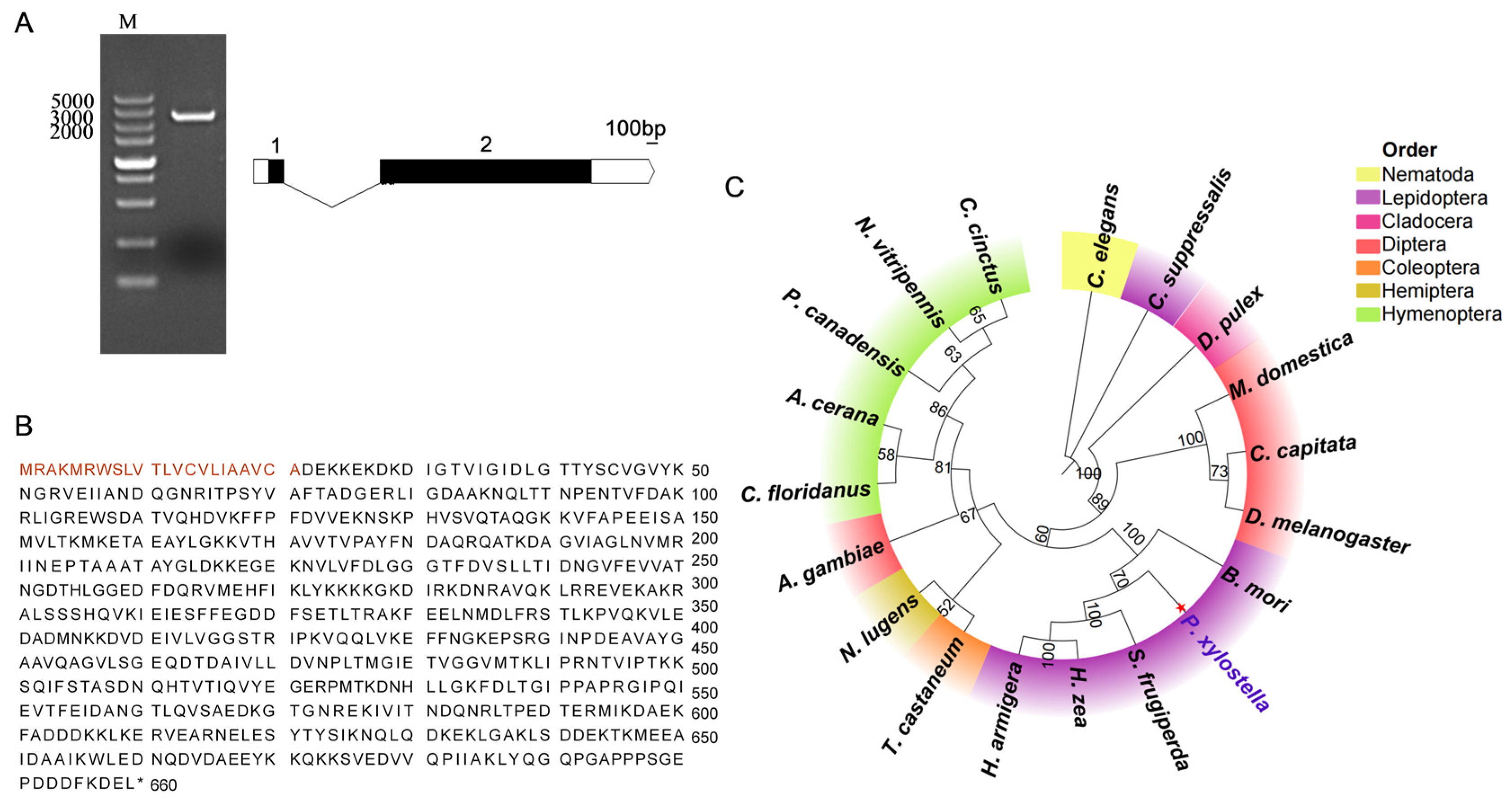 Insects 16 00489 g001