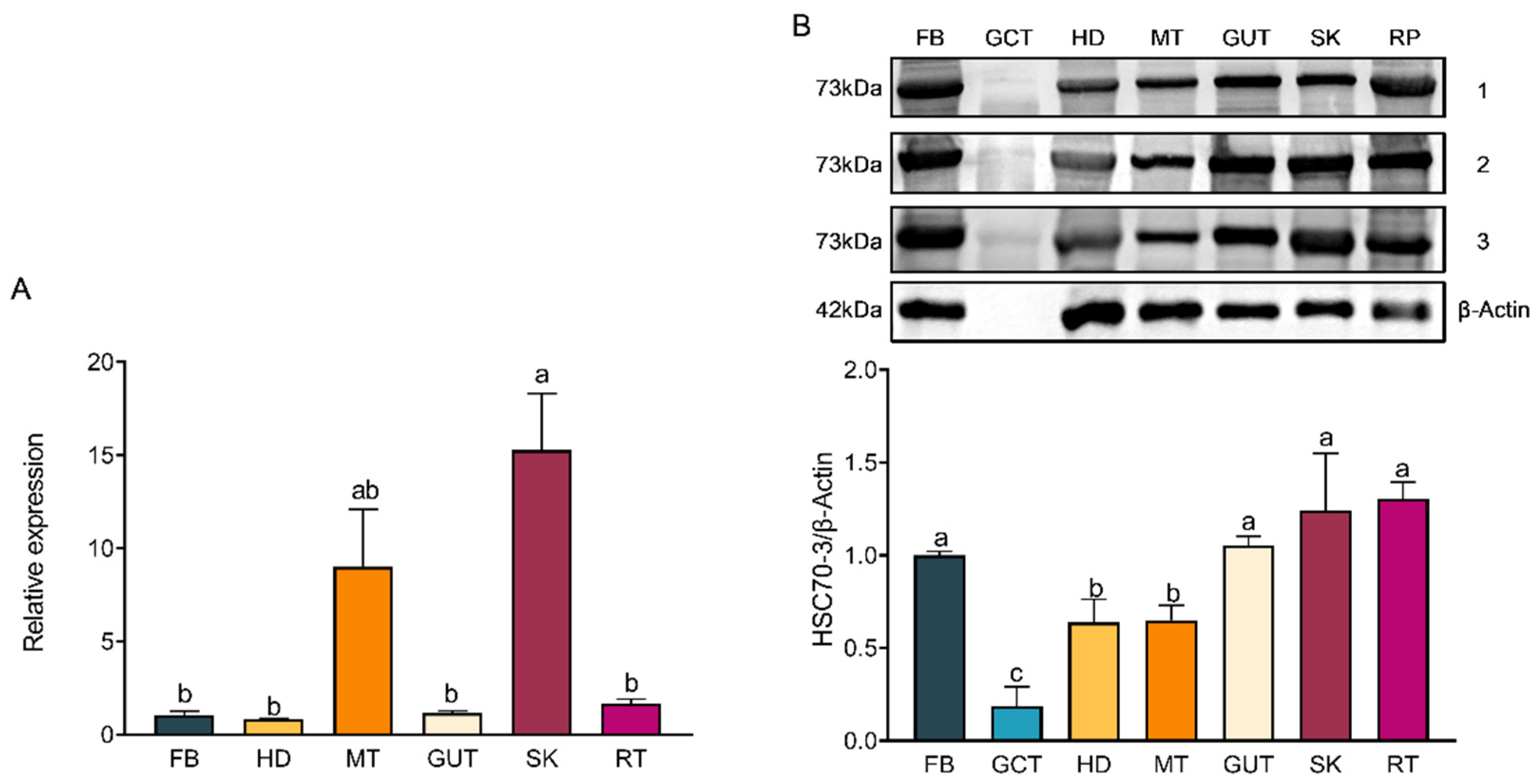 Insects 16 00489 g005