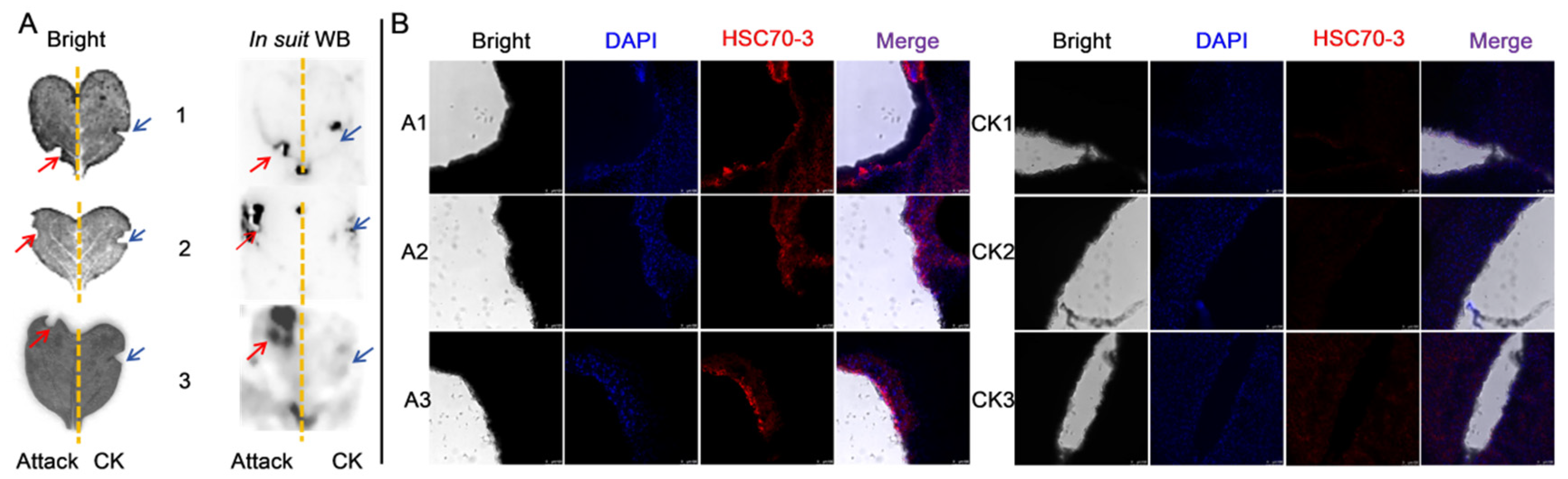 Insects 16 00489 g006