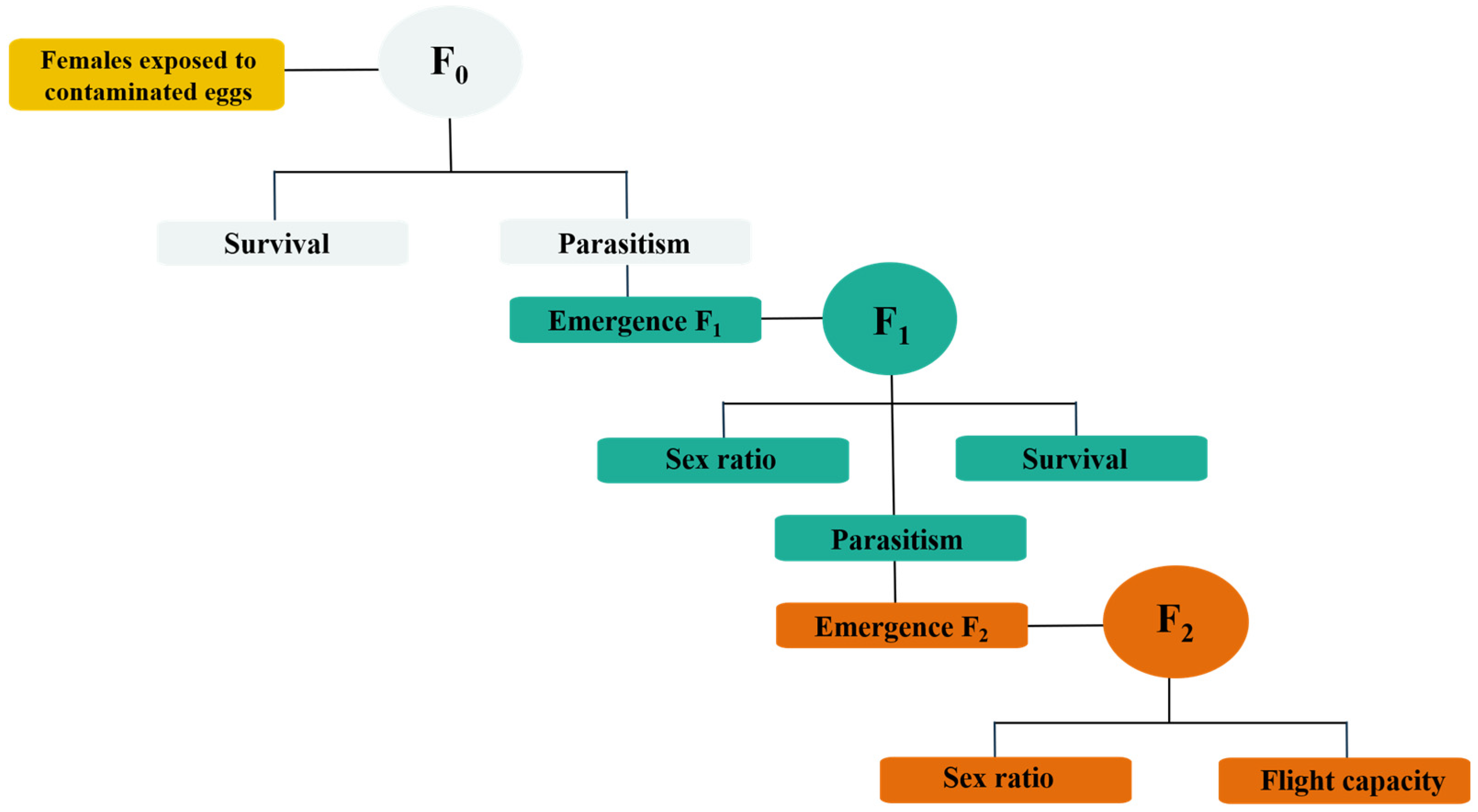 Insects 16 00493 g001
