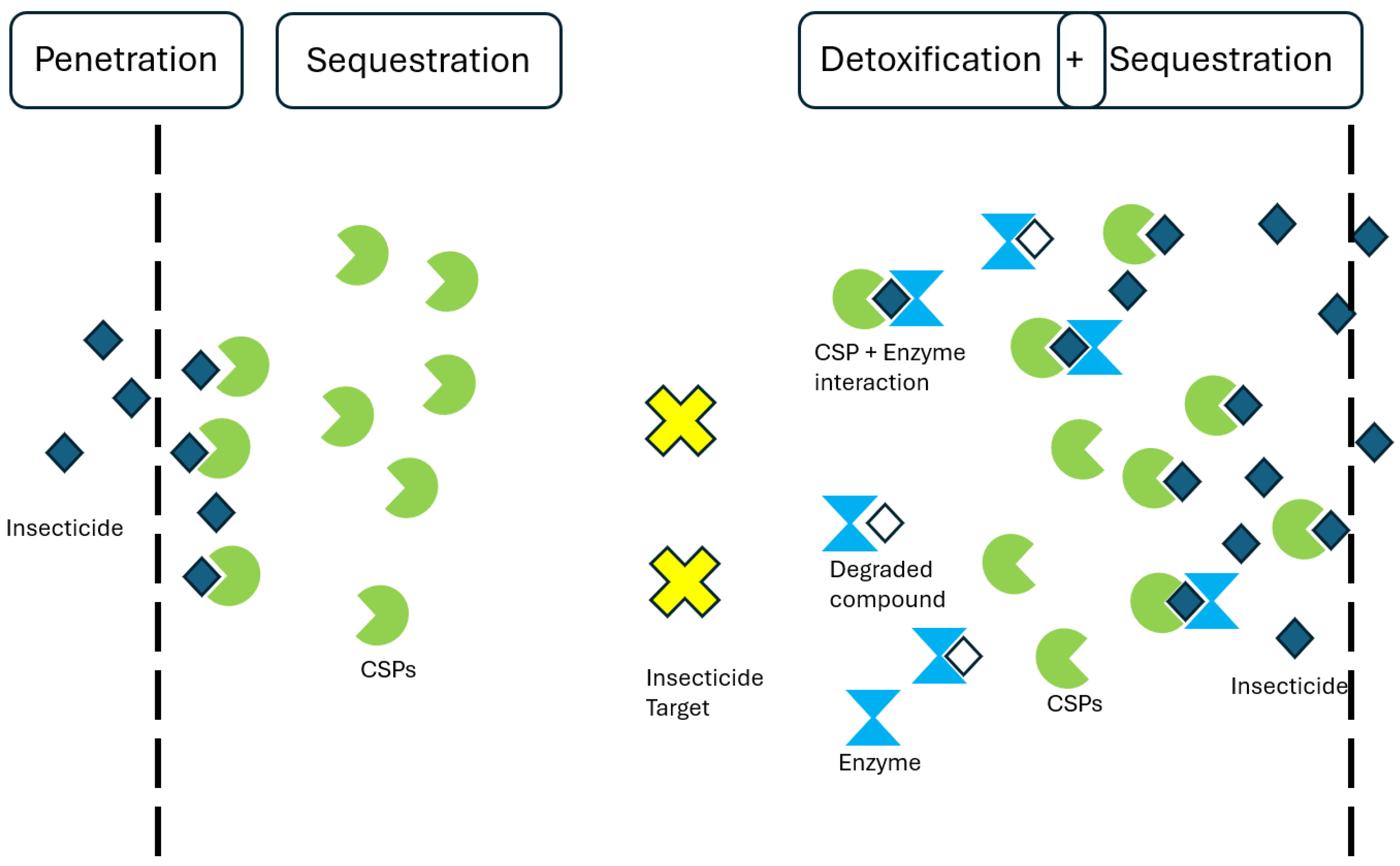 Insects 16 00496 g001