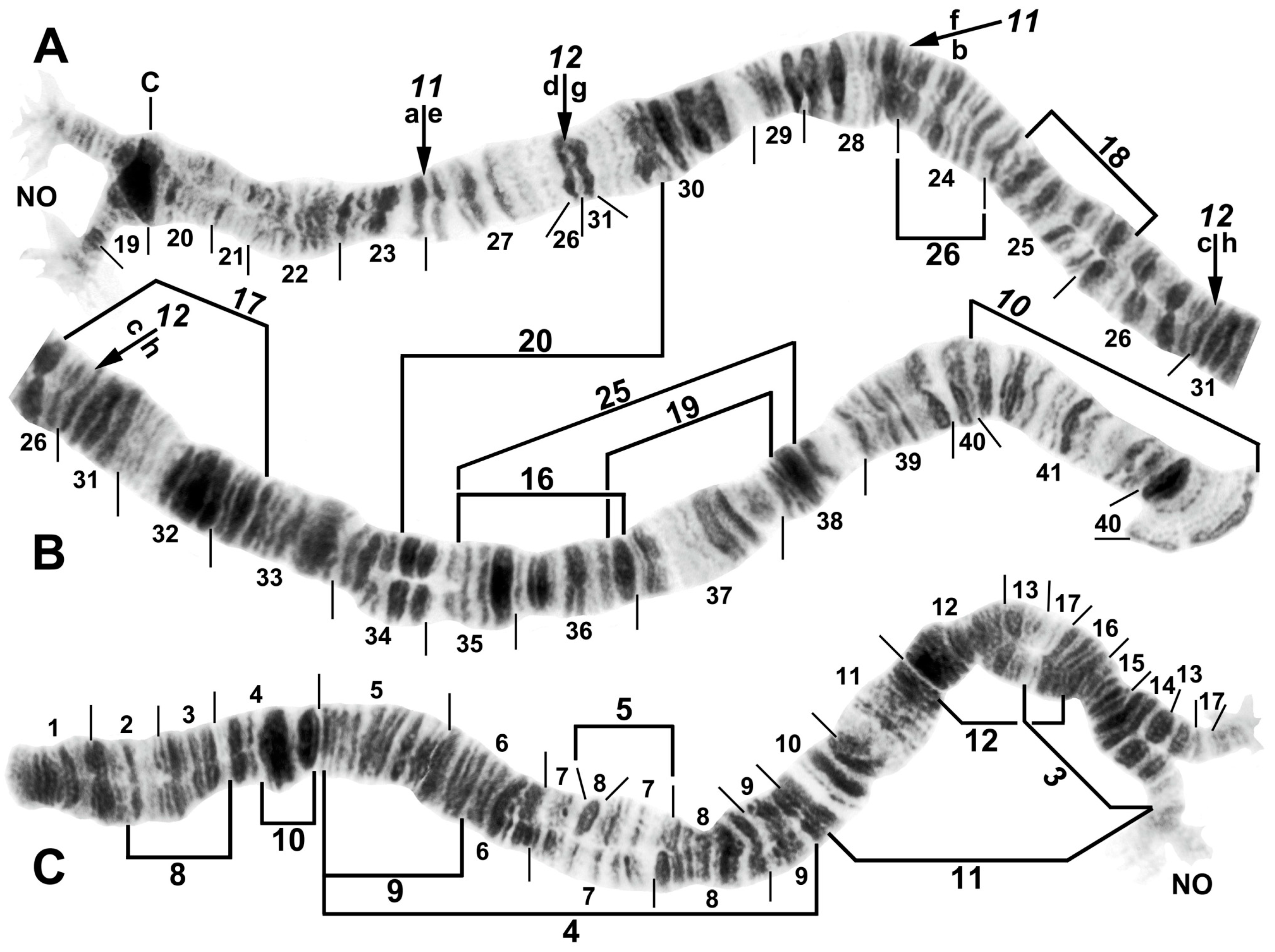 Insects 16 00511 g003 Insects 16 00511 g003