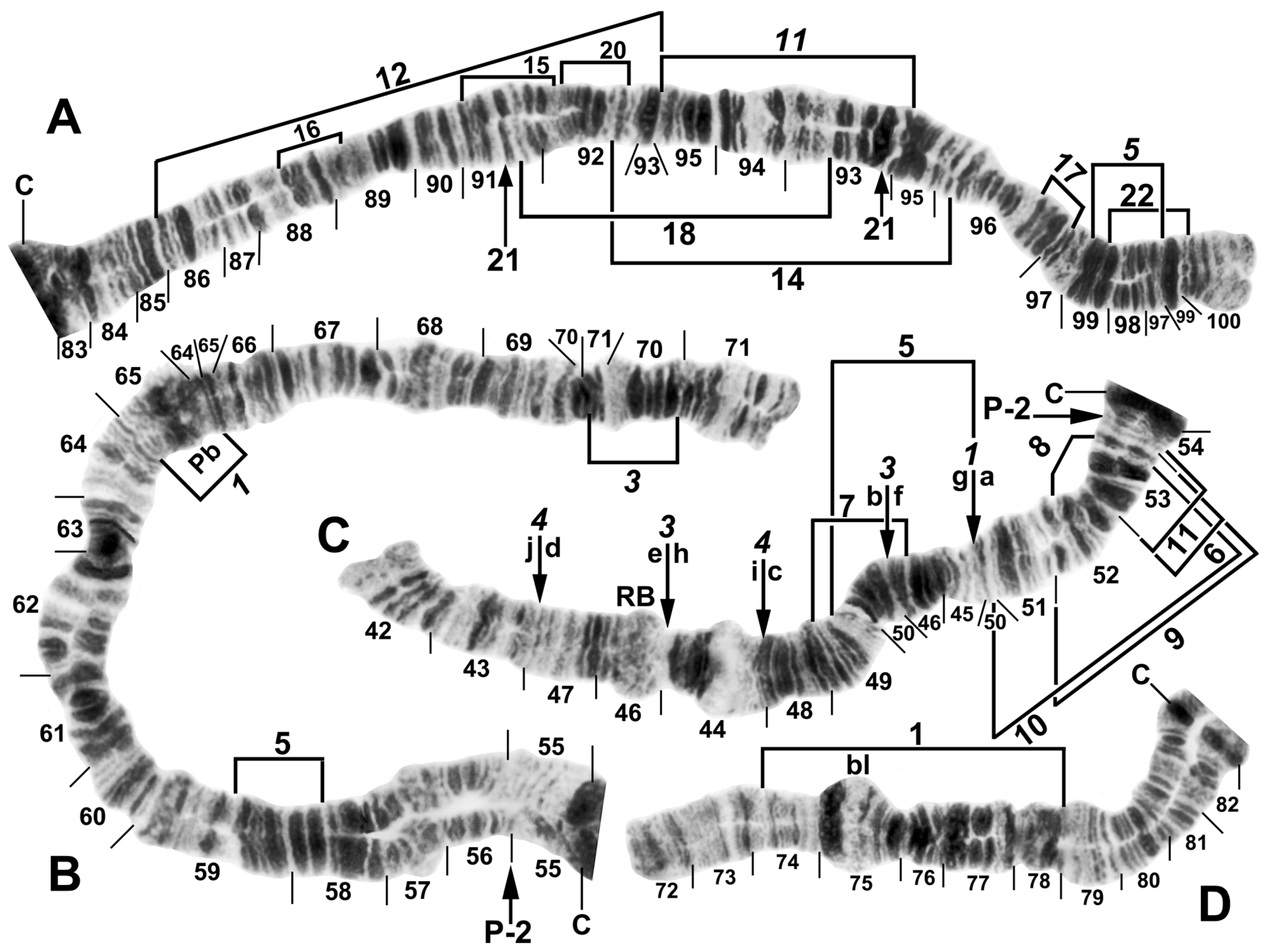 Insects 16 00511 g004 Insects 16 00511 g004