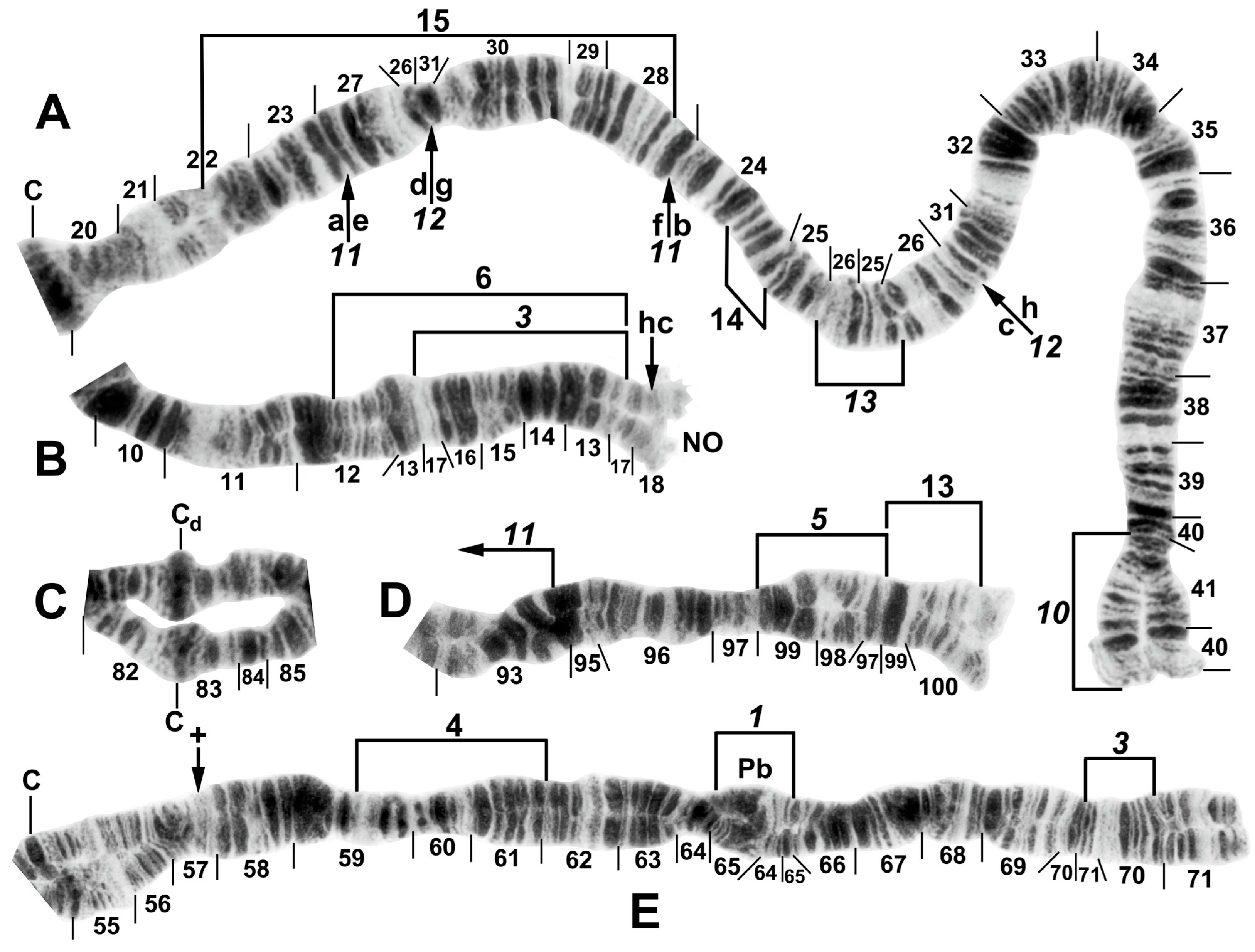 Insects 16 00511 g006 Insects 16 00511 g006