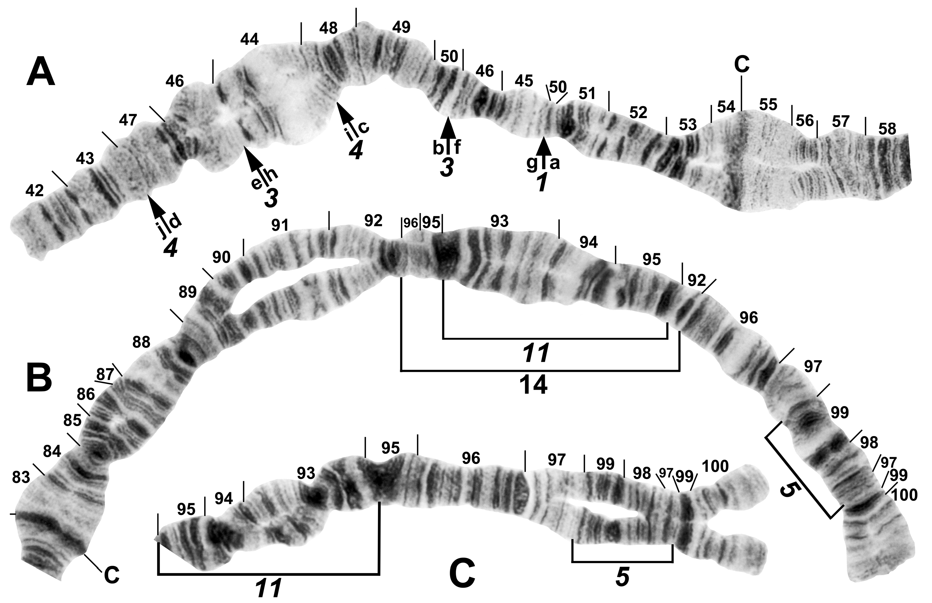 Insects 16 00511 g007 Insects 16 00511 g007