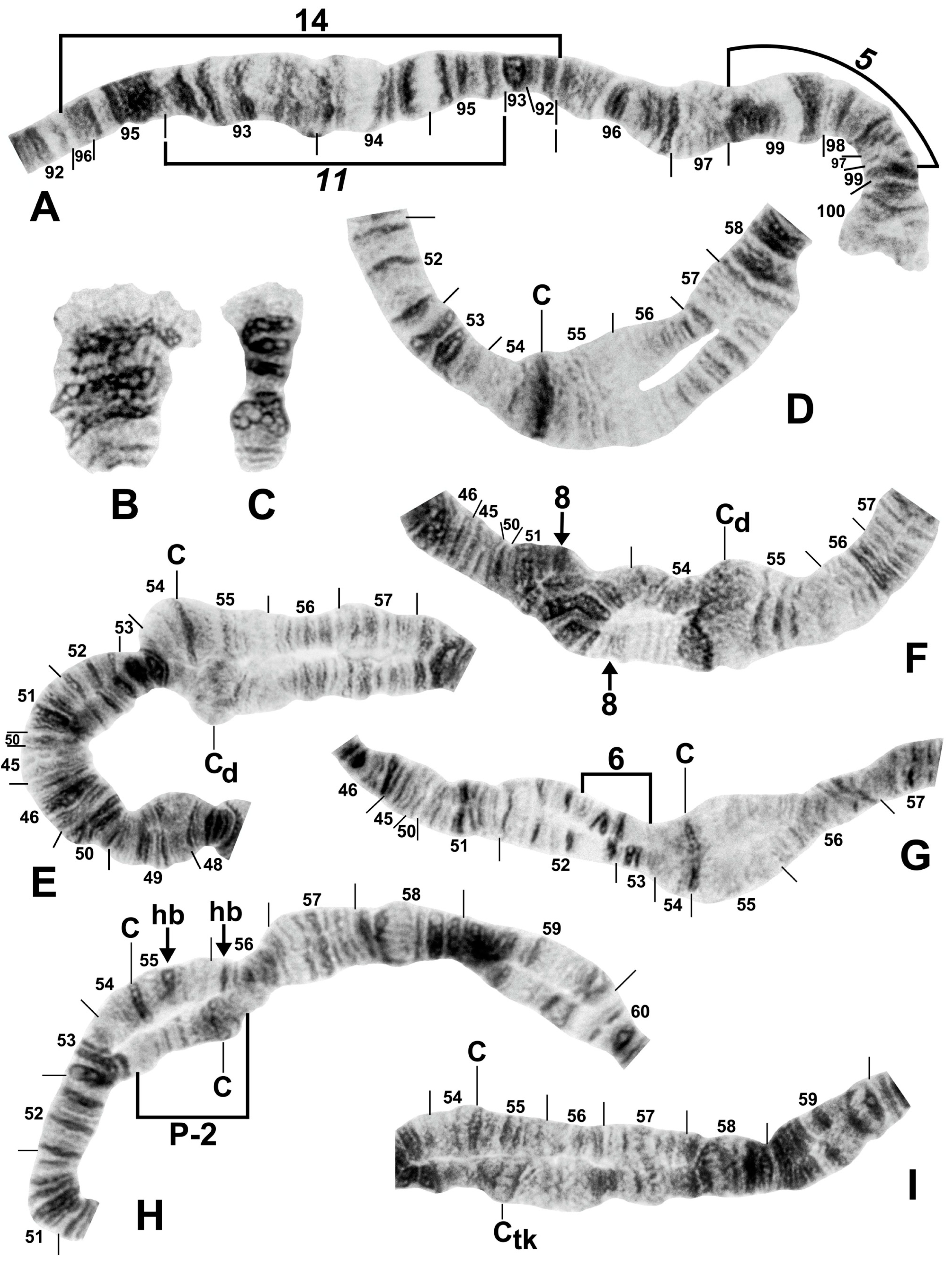 Insects 16 00511 g008 Insects 16 00511 g008