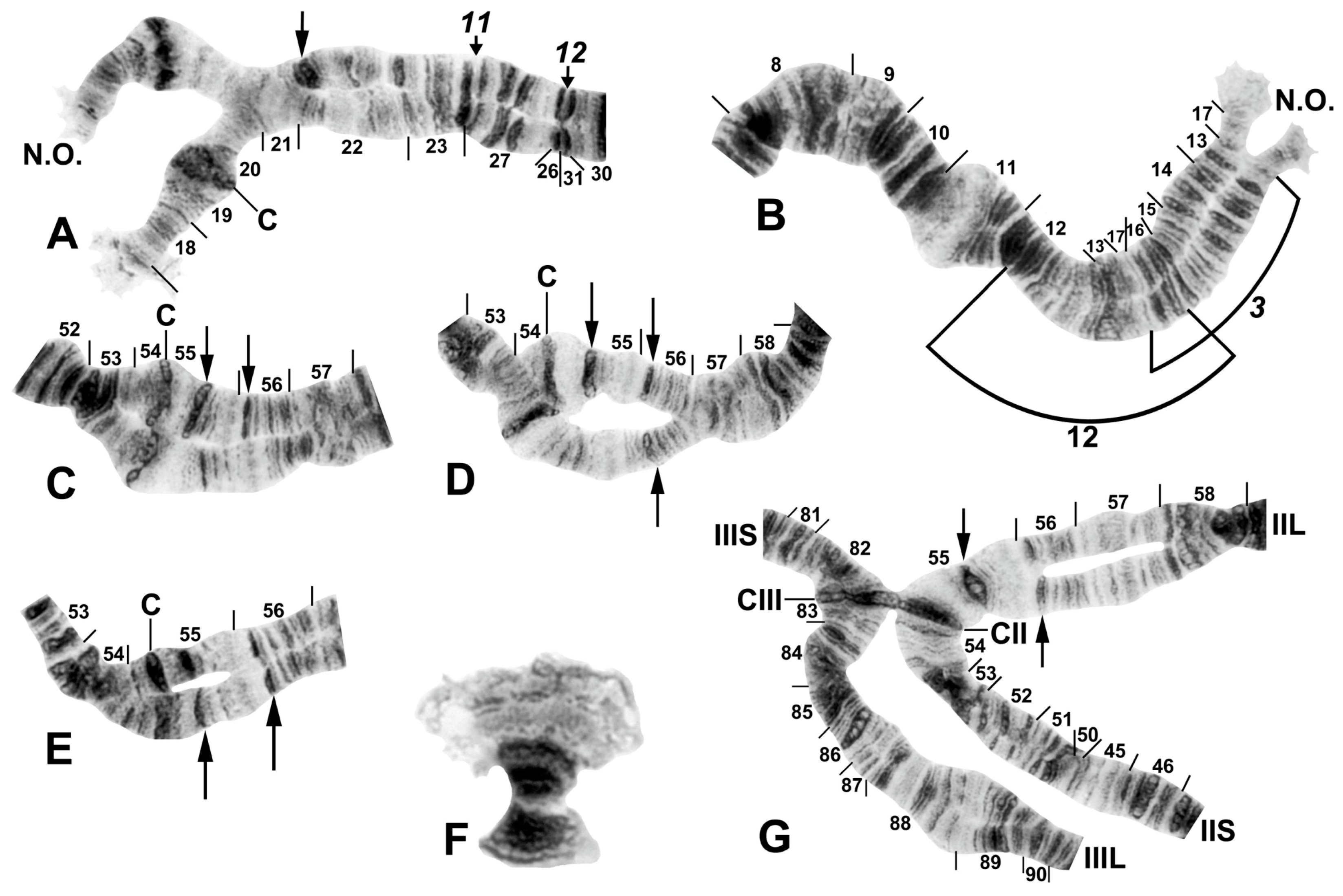 Insects 16 00511 g009 Insects 16 00511 g009