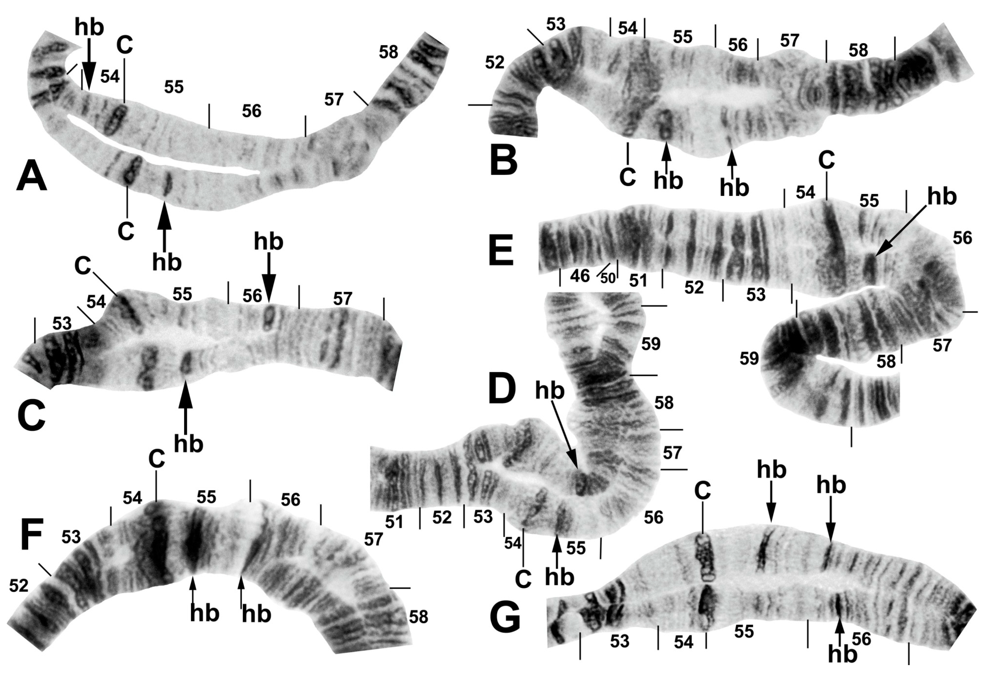 Insects 16 00511 g010 Insects 16 00511 g010