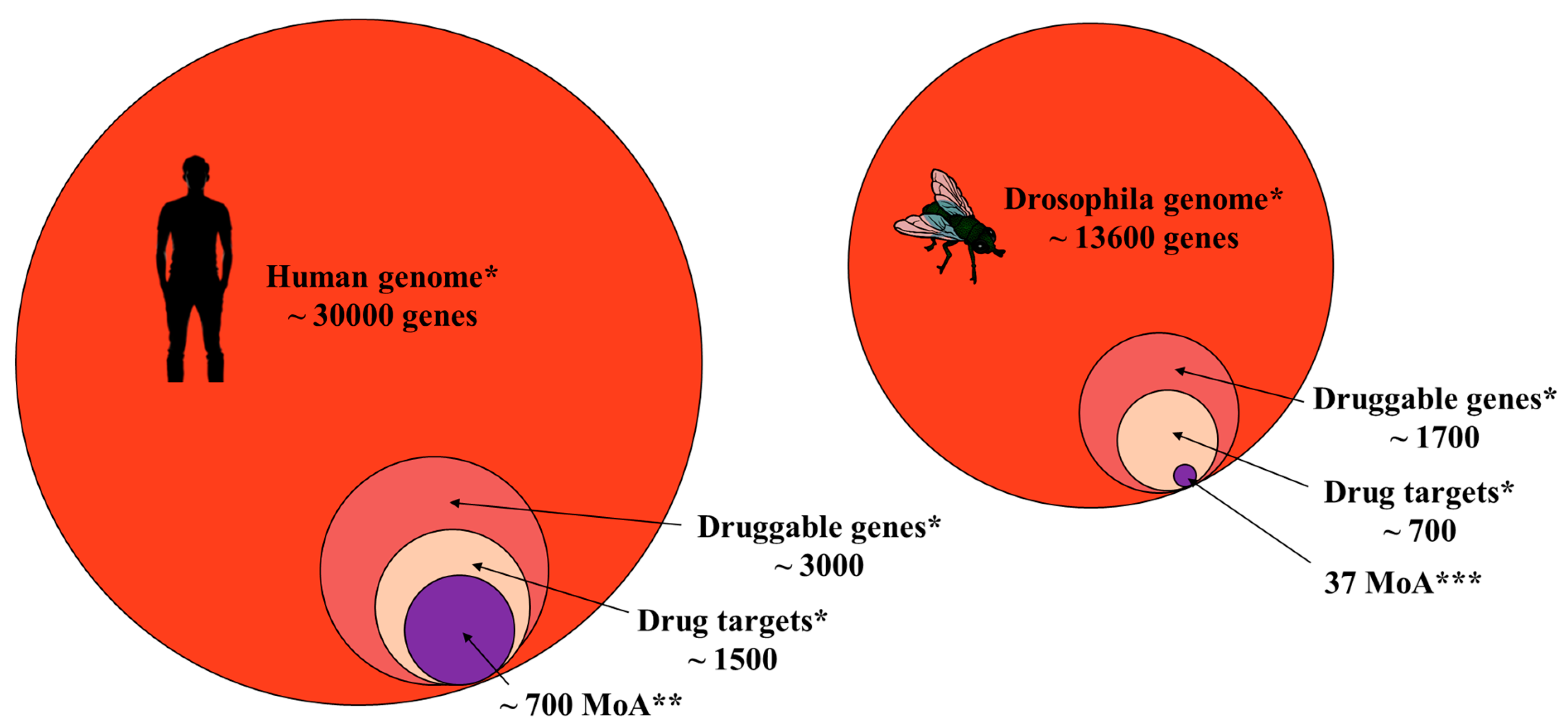 Insects 16 00528 g003