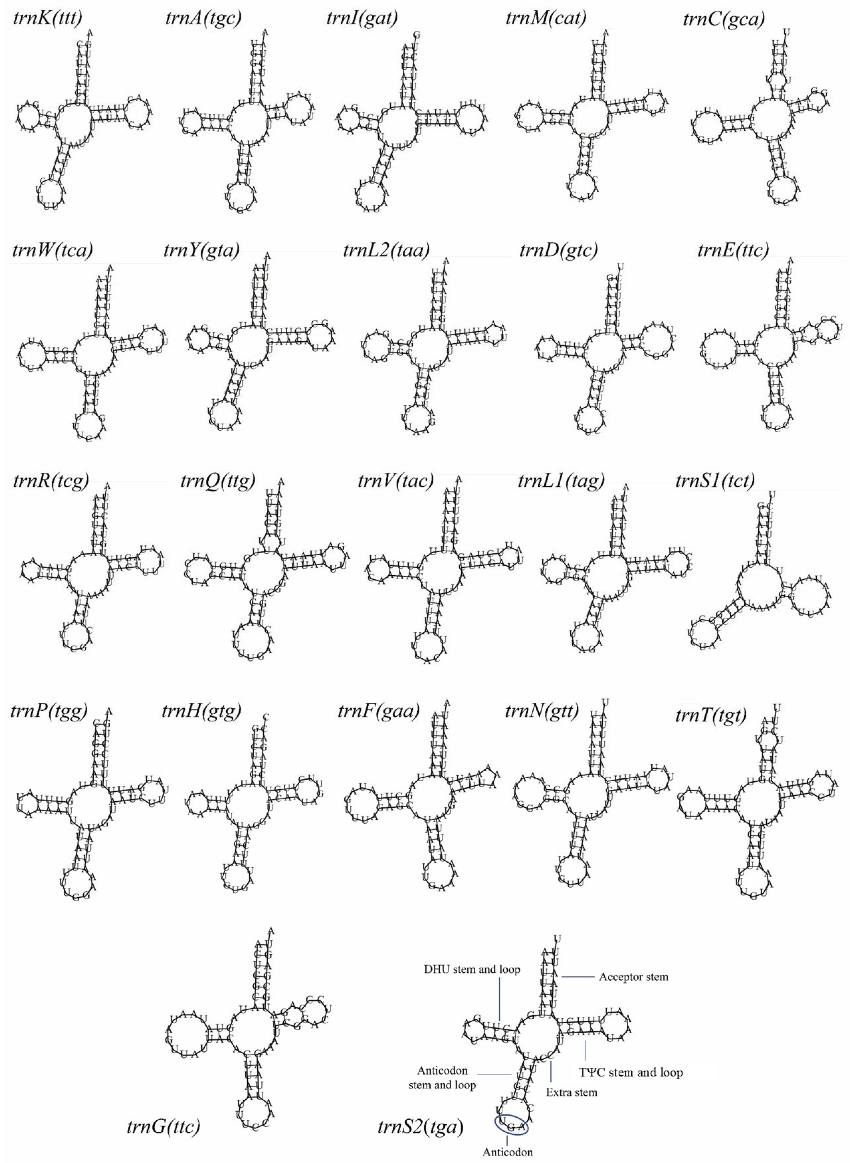 Insects 16 00535 g003