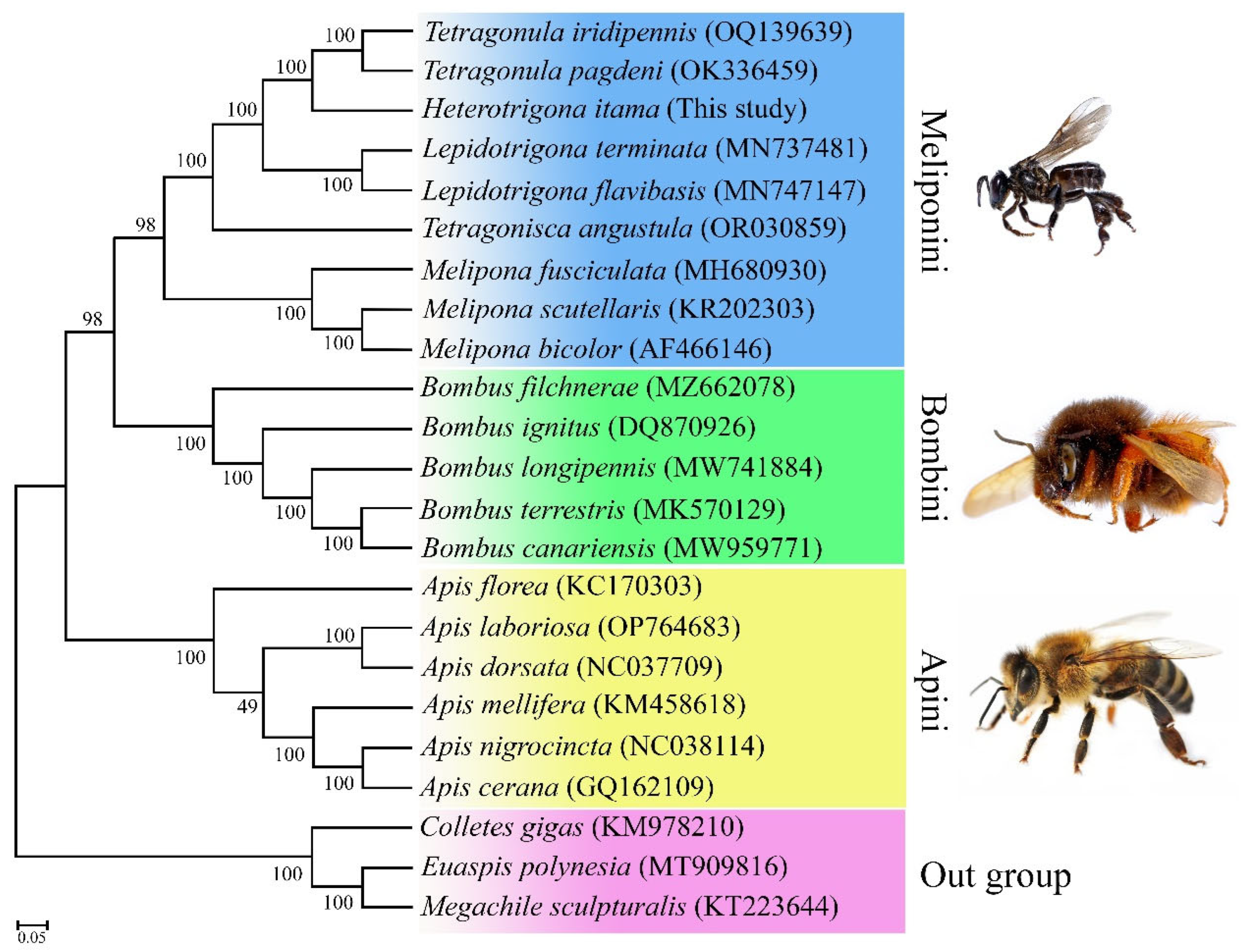 Insects 16 00535 g004