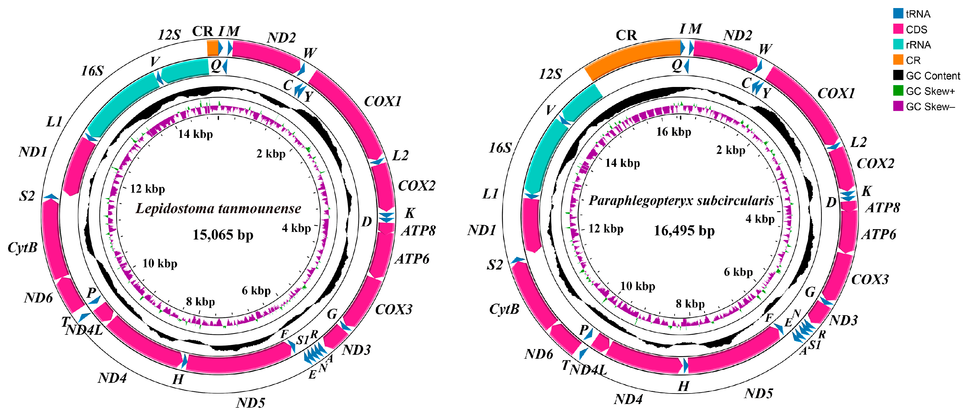 Insects 16 00536 g002