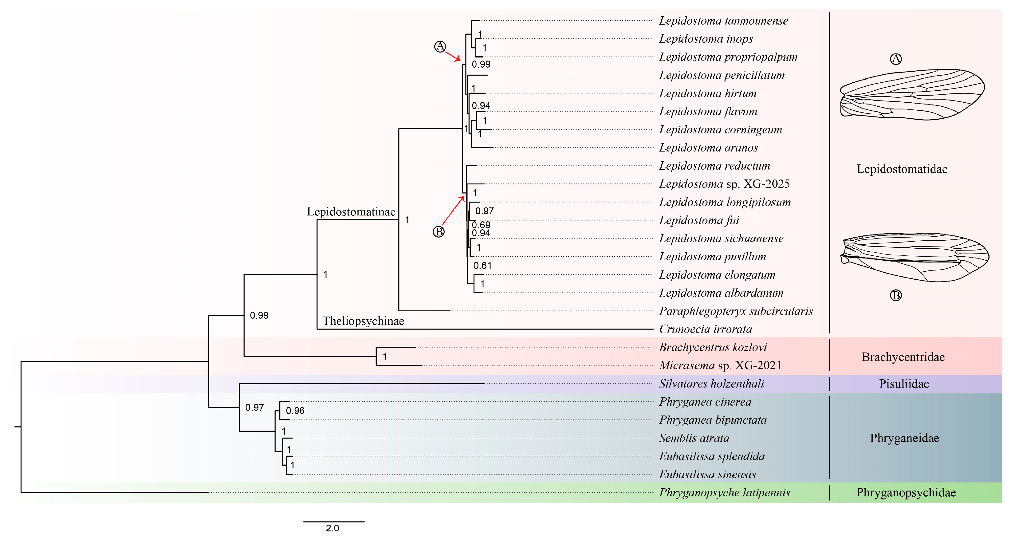 Insects 16 00536 g005