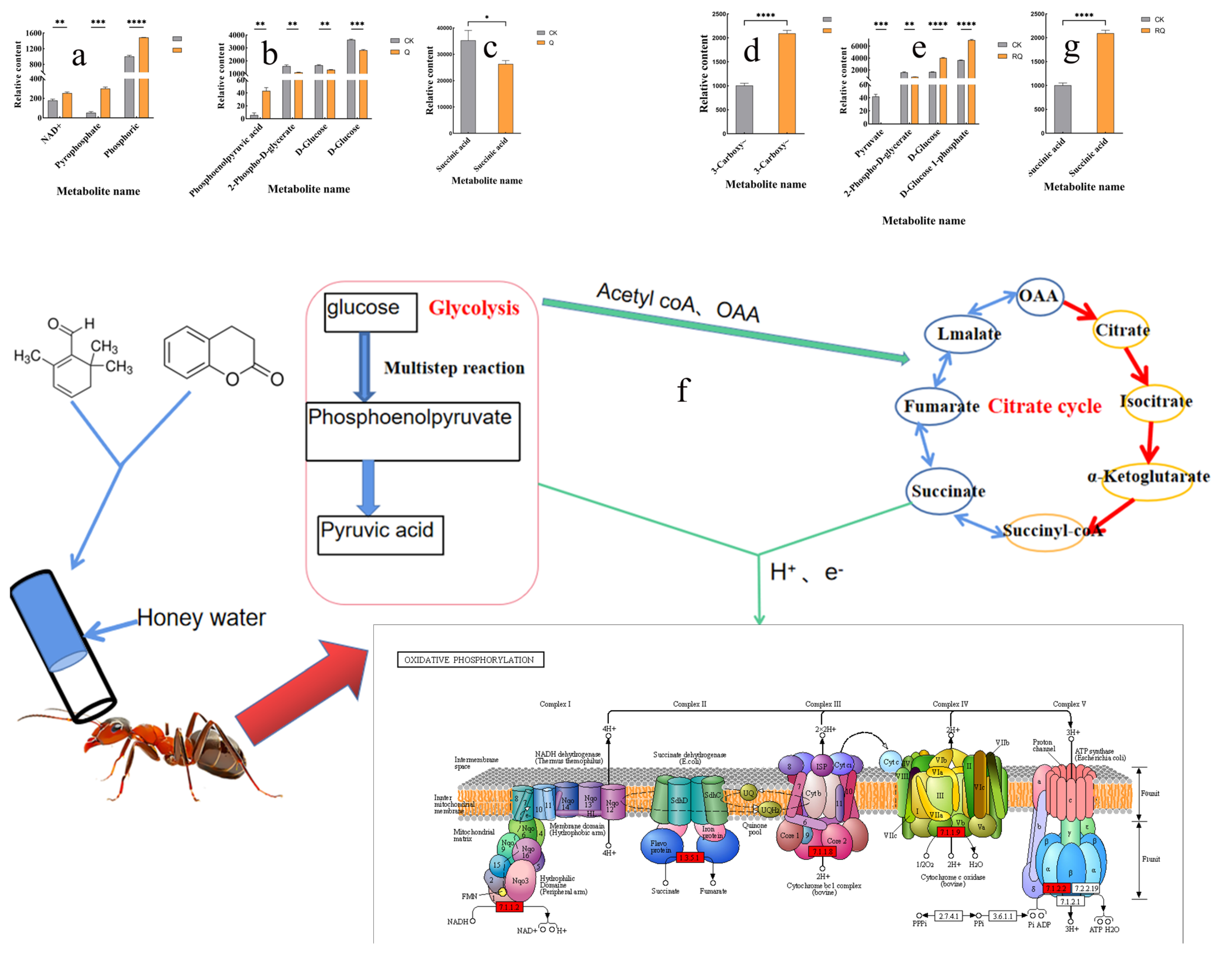 Insects 16 00540 g007