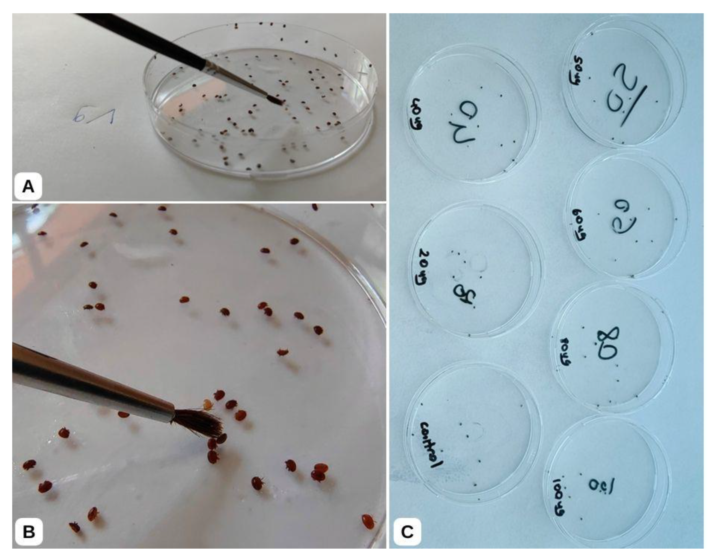 Insects 16 00548 g002