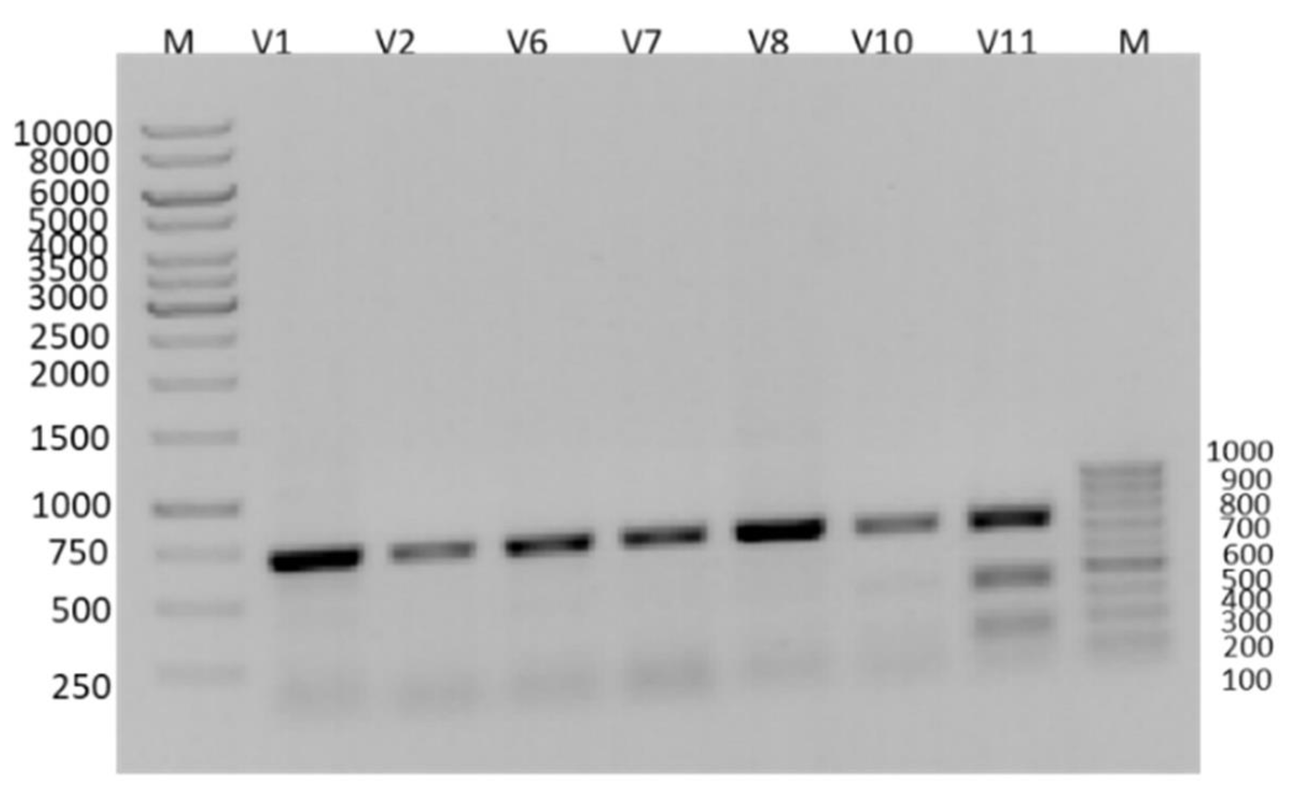 Insects 16 00548 g003