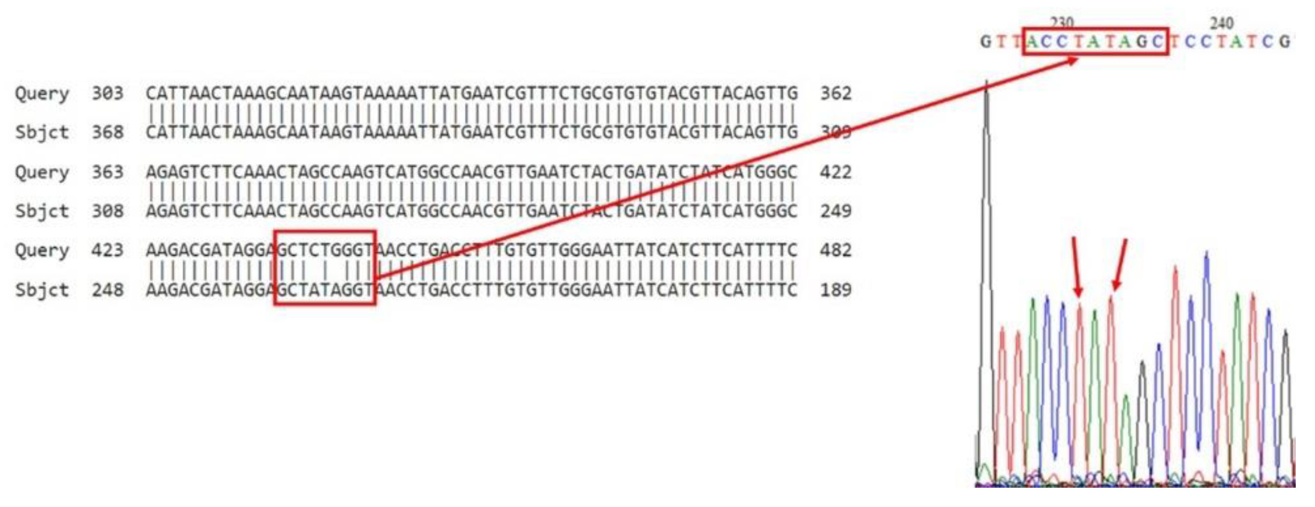 Insects 16 00548 g004