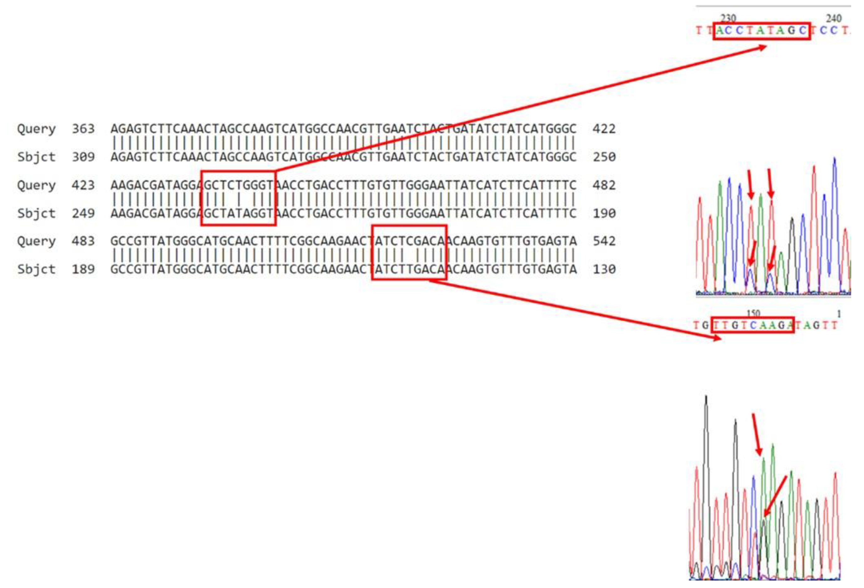 Insects 16 00548 g005