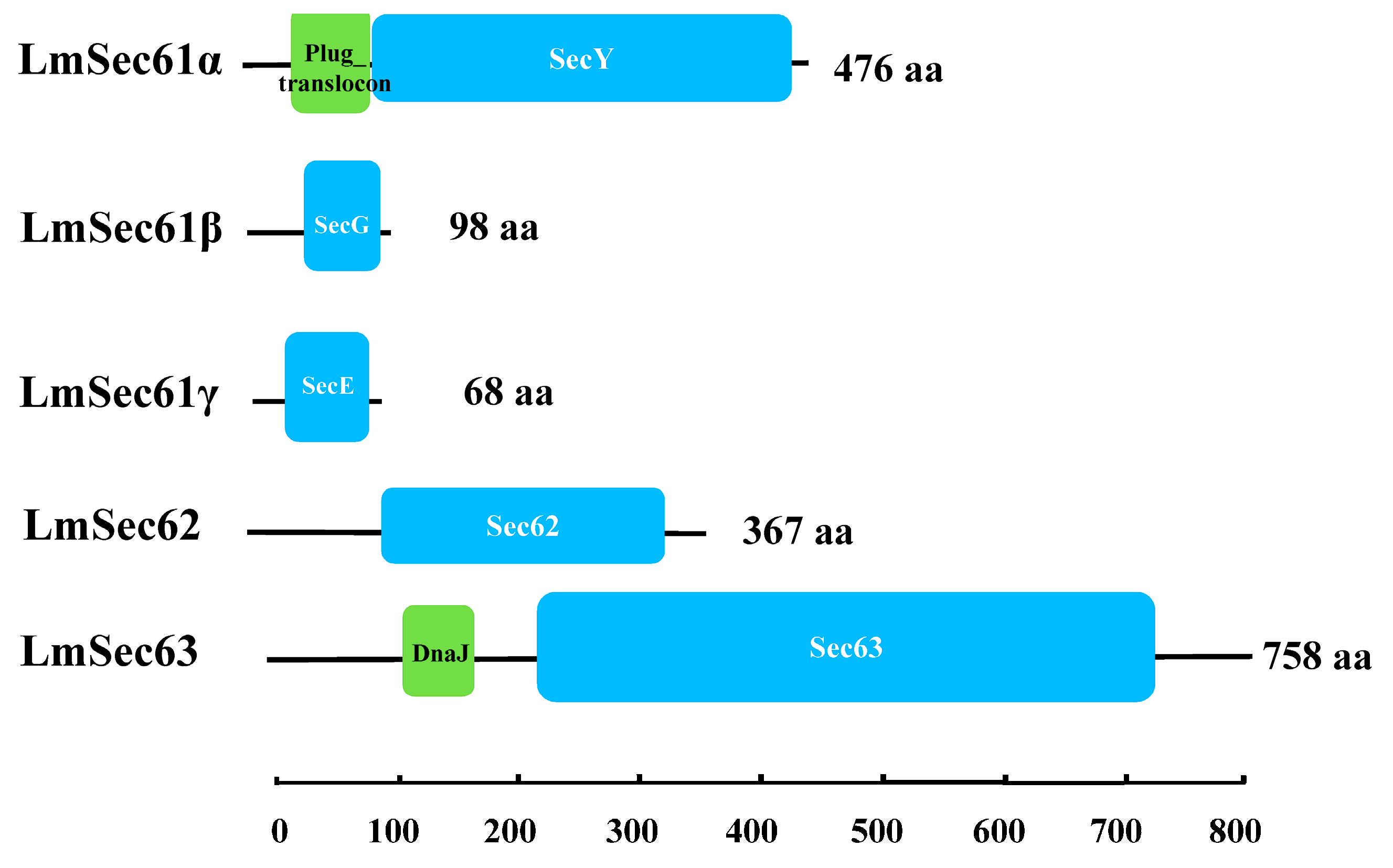 Insects 16 00550 g001