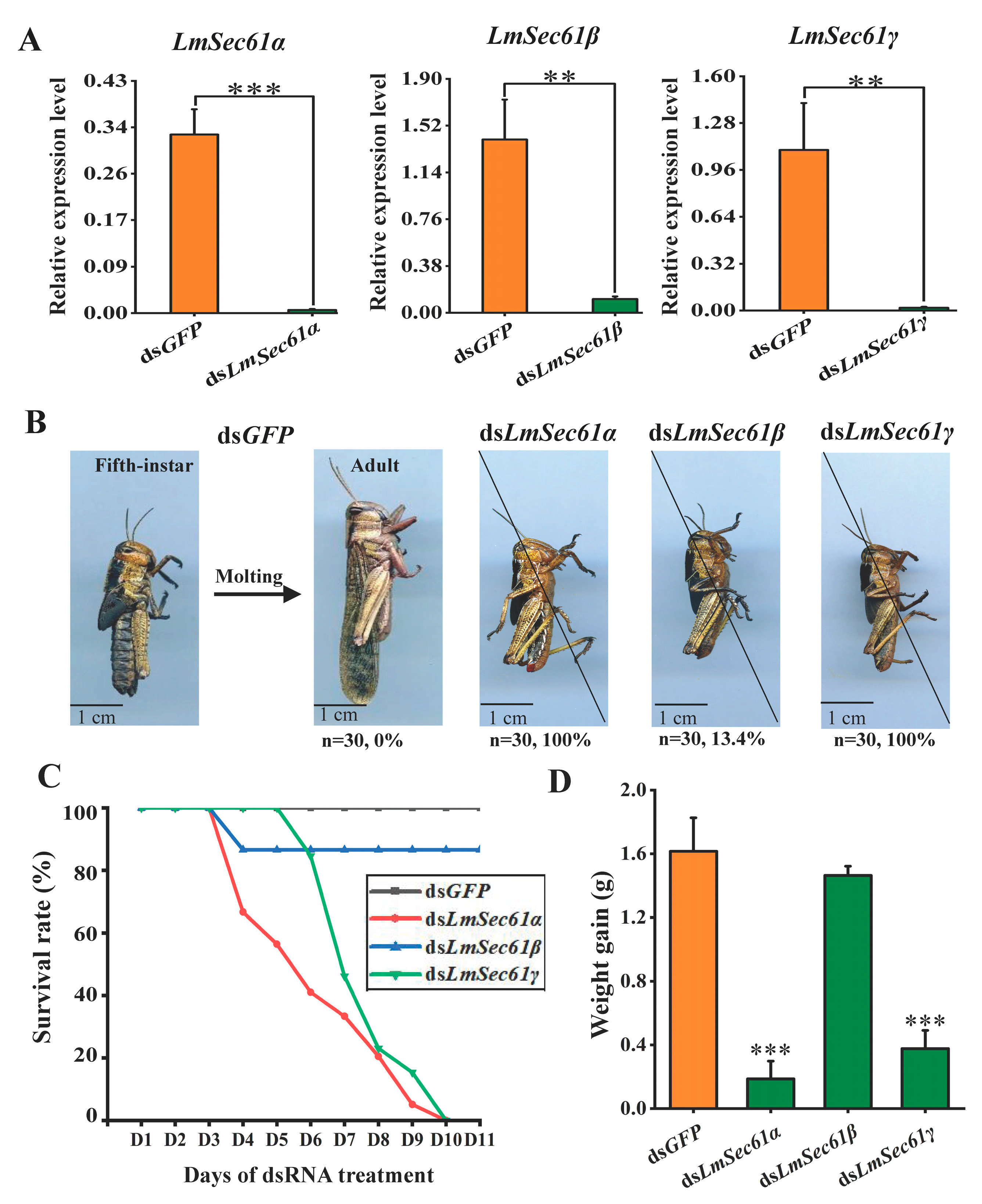 Insects 16 00550 g004