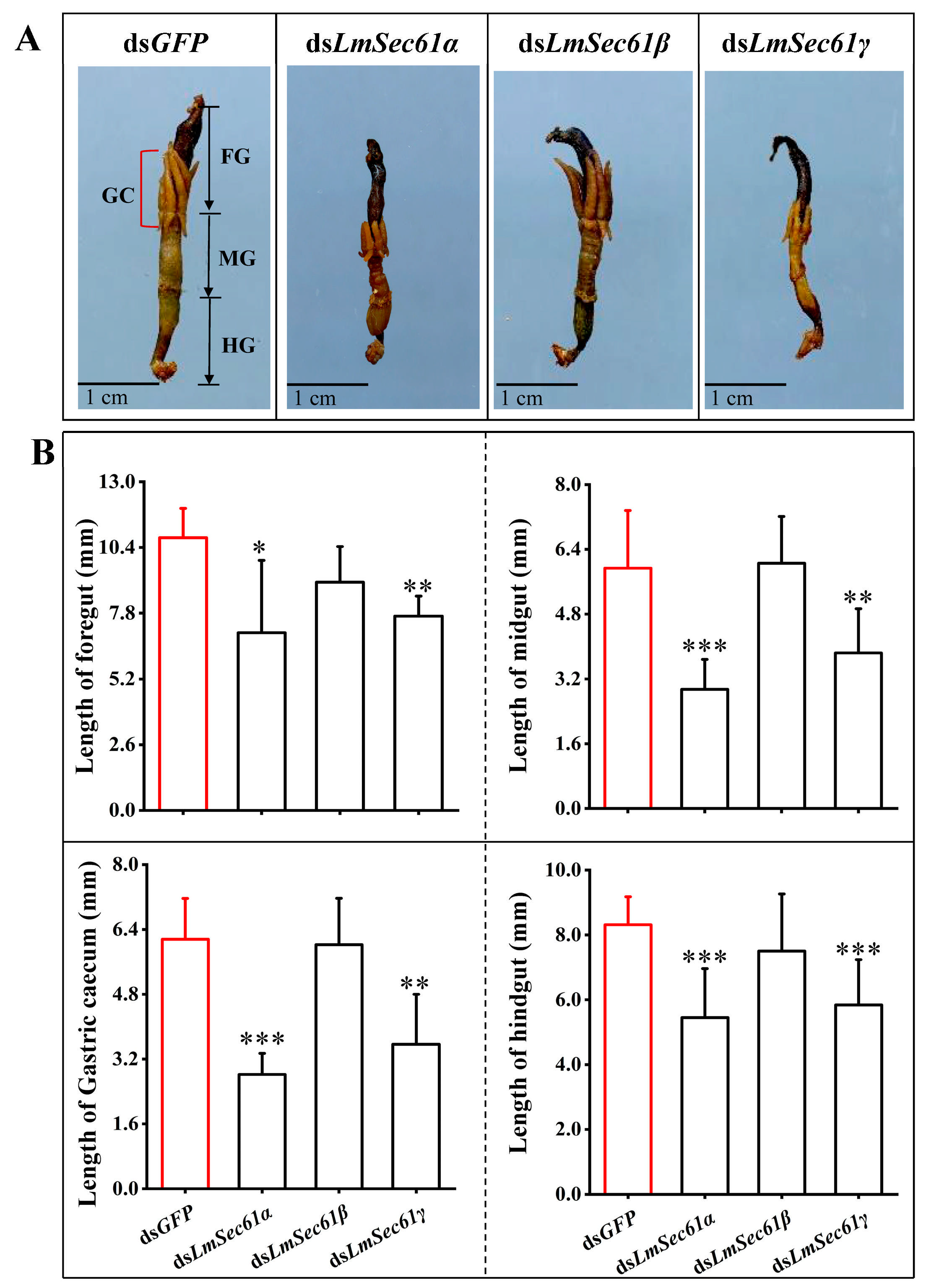 Insects 16 00550 g005