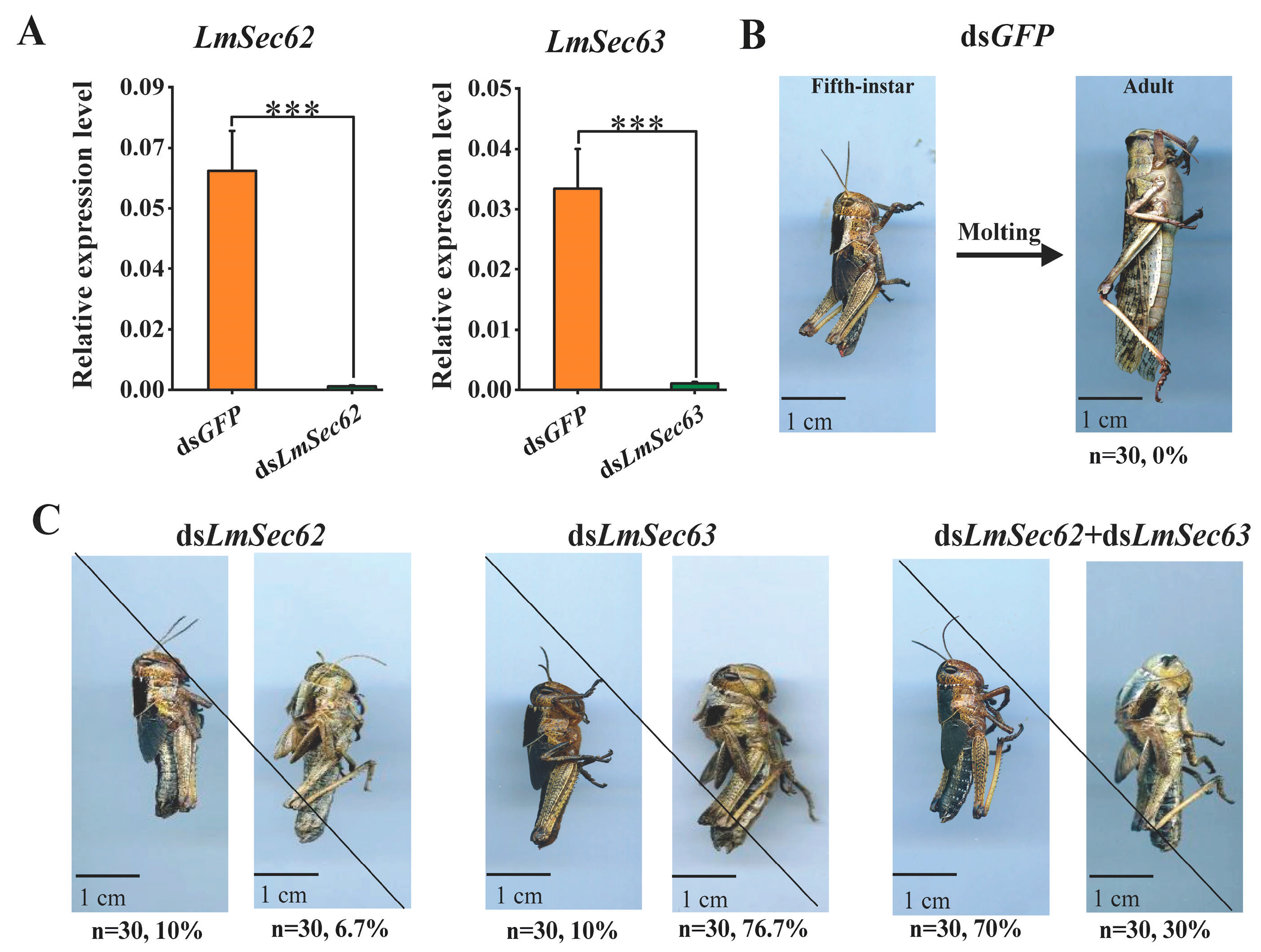 Insects 16 00550 g007