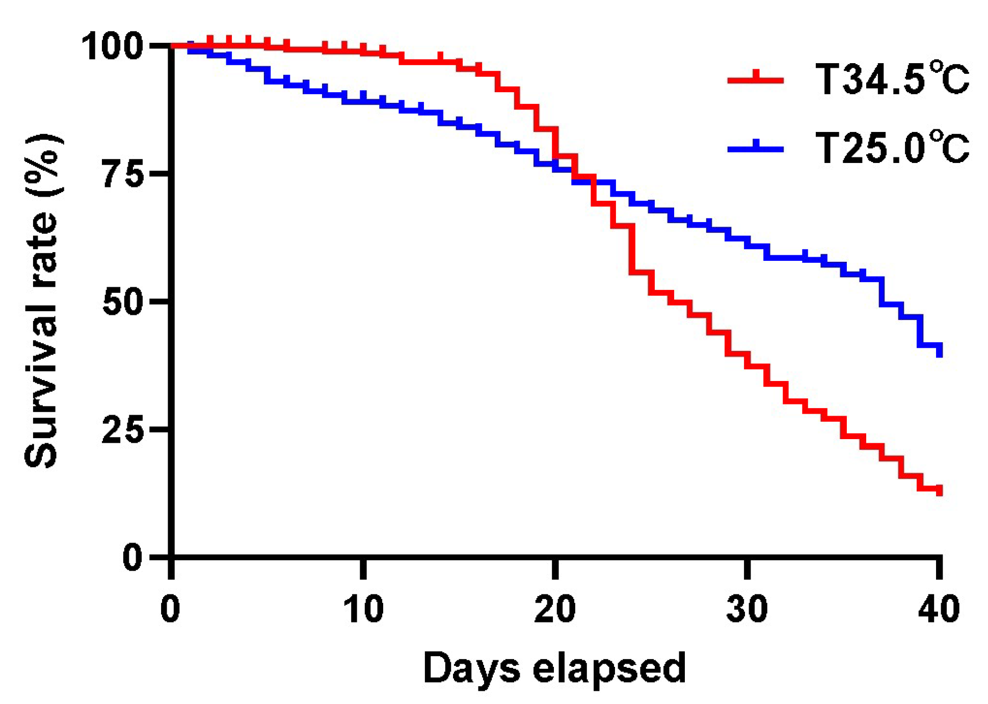 Insects 16 00558 g001
