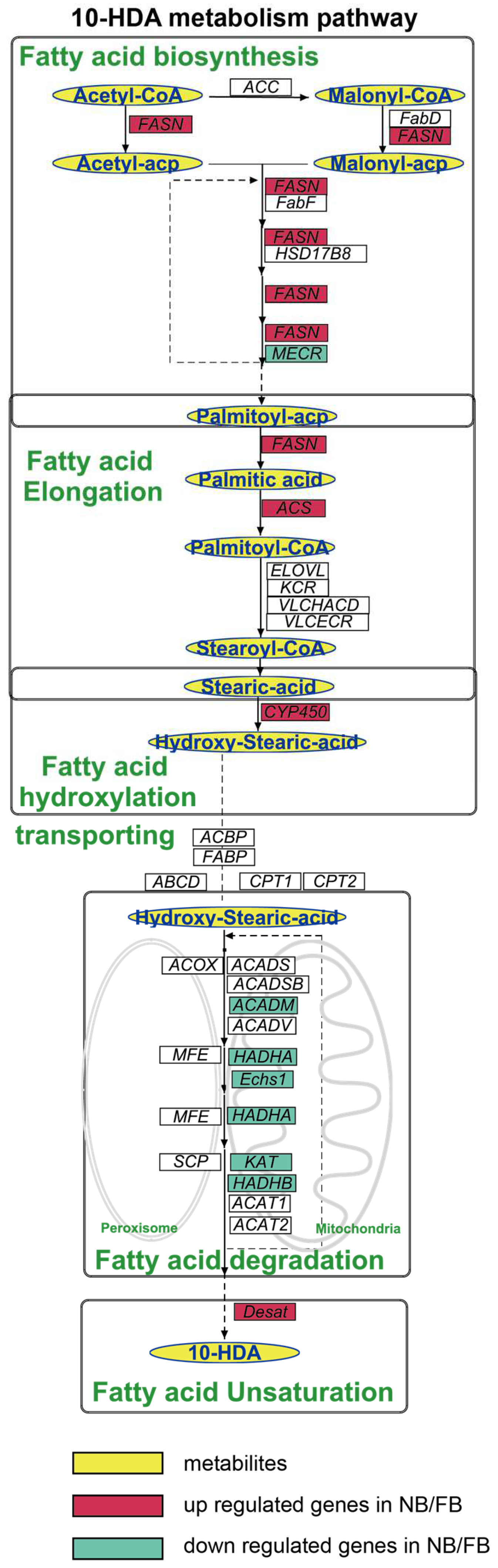 Insects 16 00563 g003