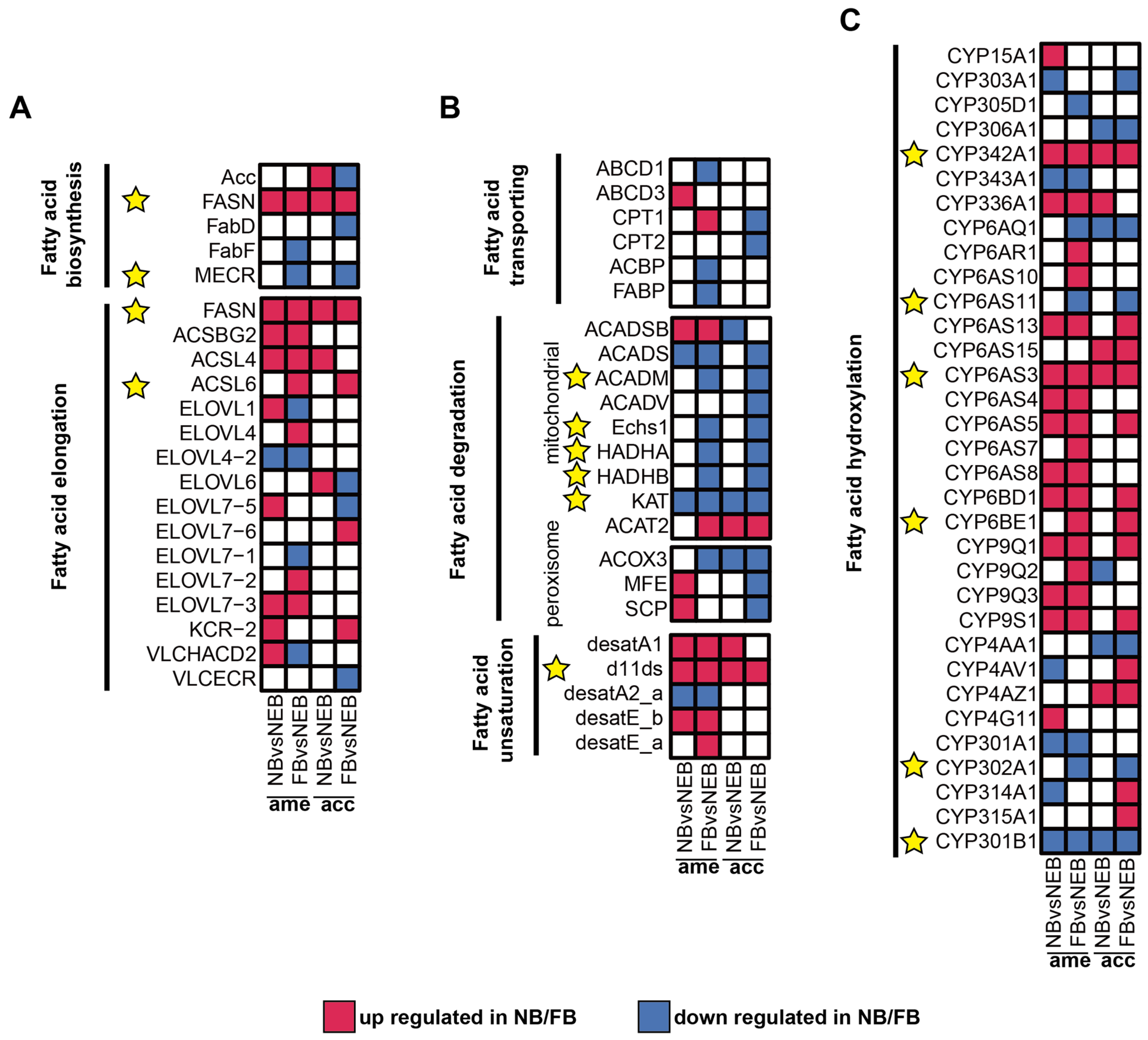 Insects 16 00563 g004