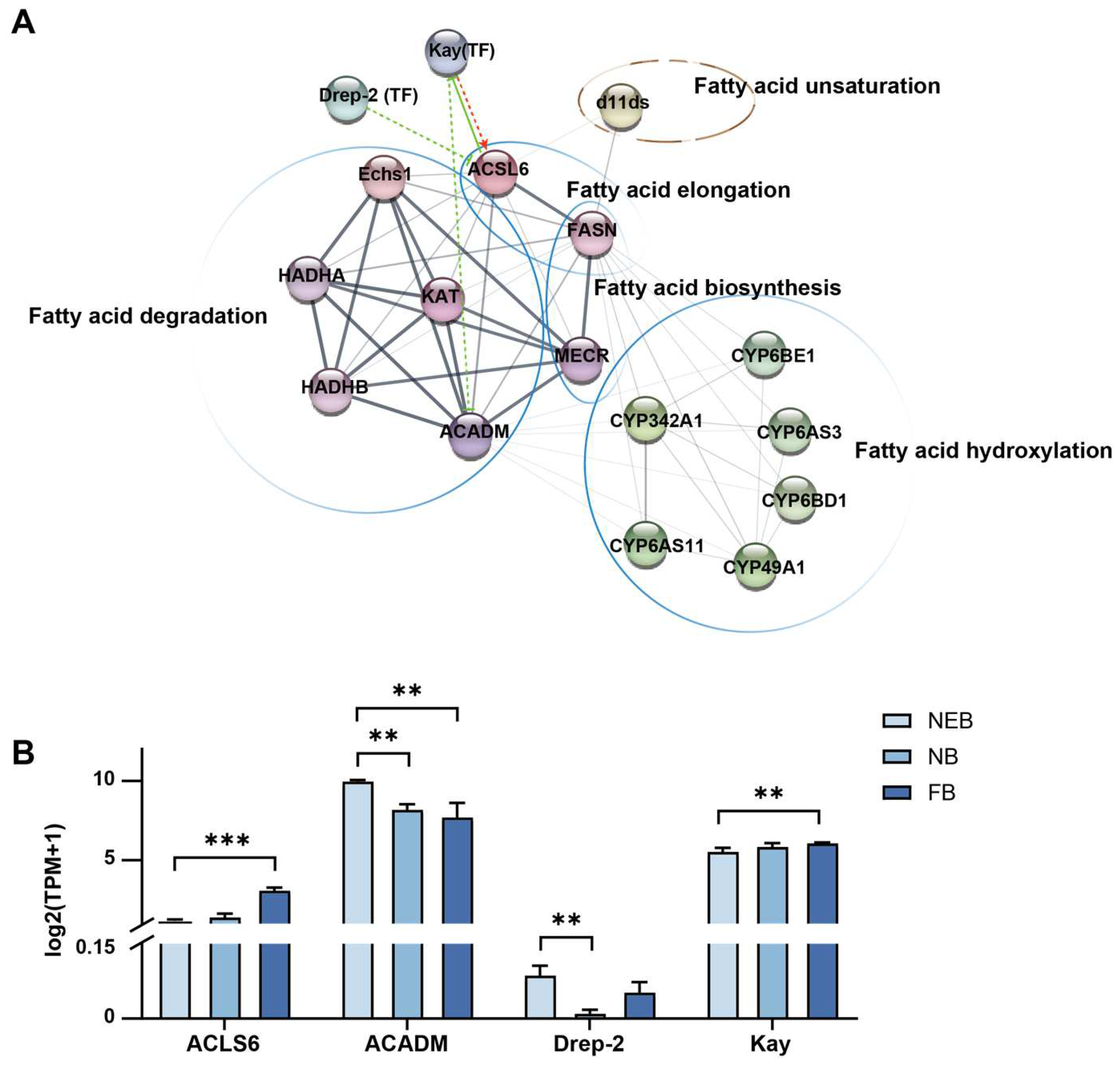 Insects 16 00563 g006