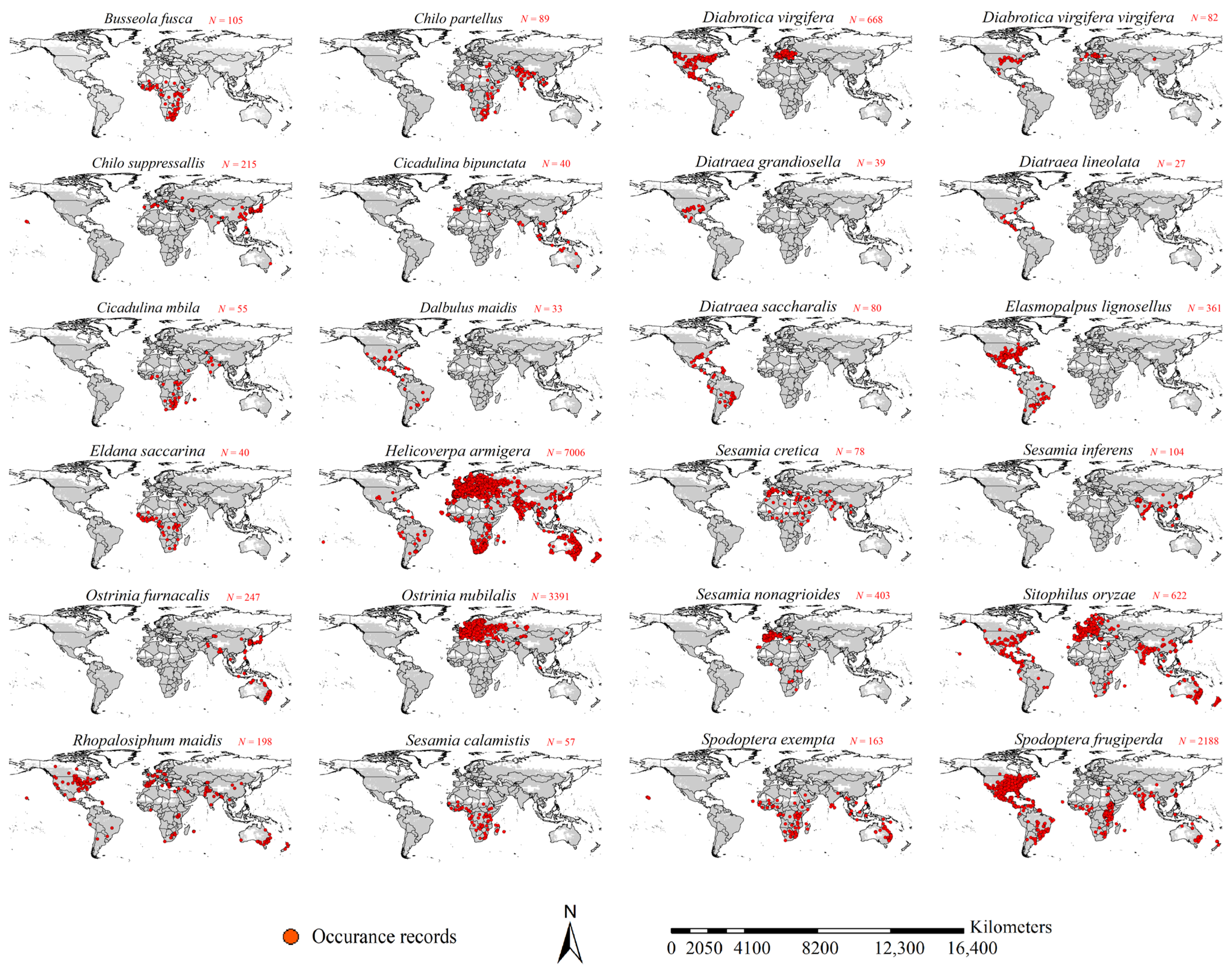 Insects 16 00568 g001 Insects 16 00568 g001