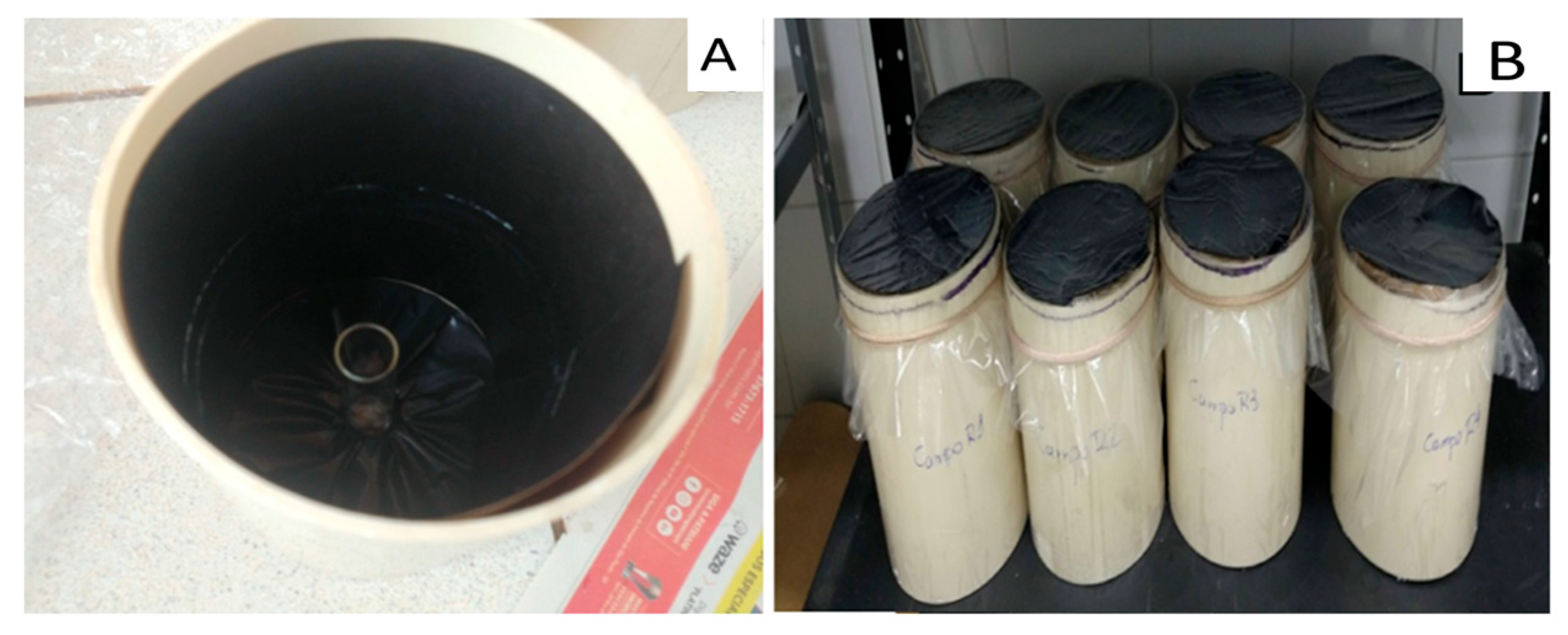 Insects 16 00571 g001