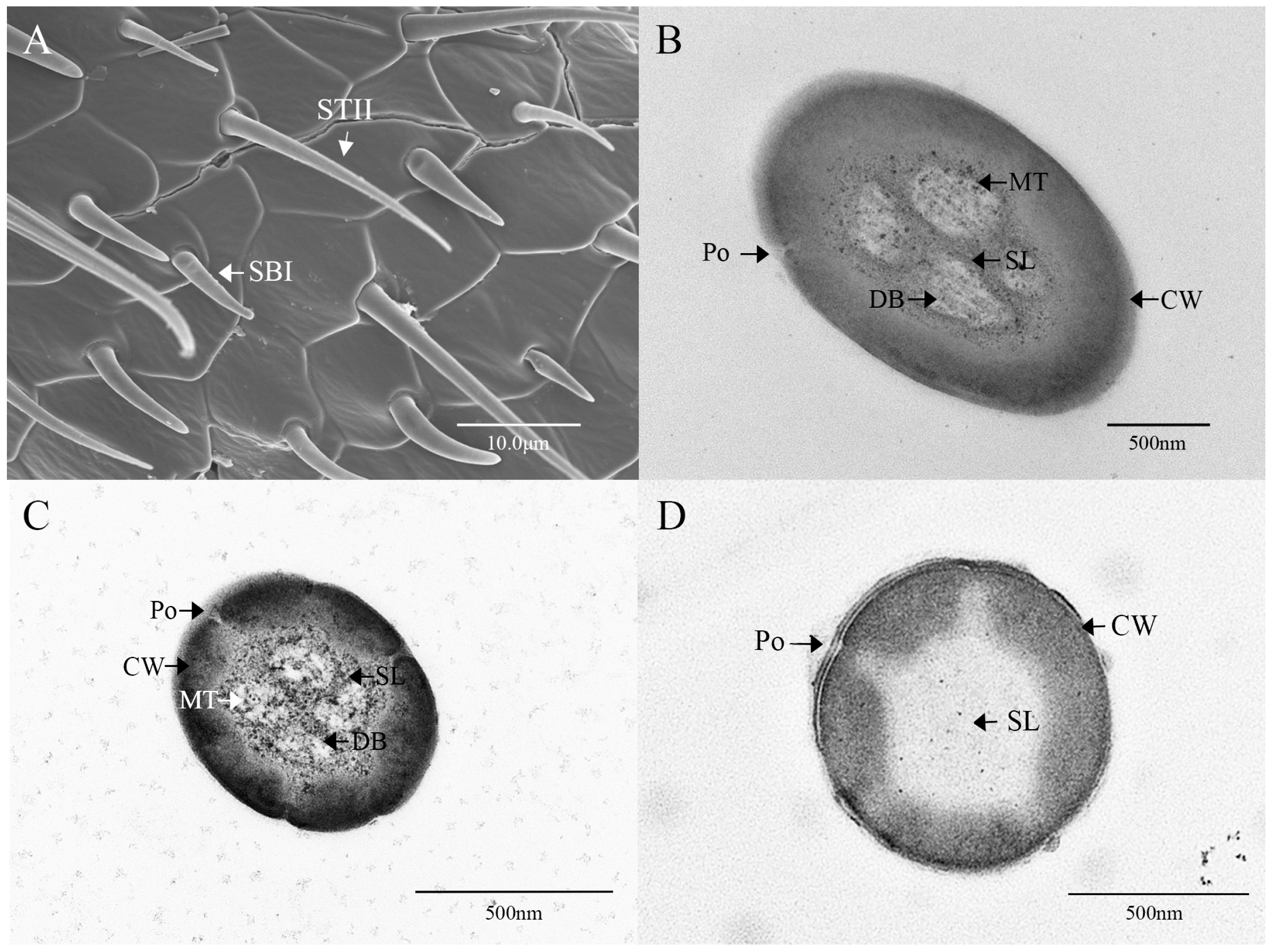 Insects 16 00573 g005