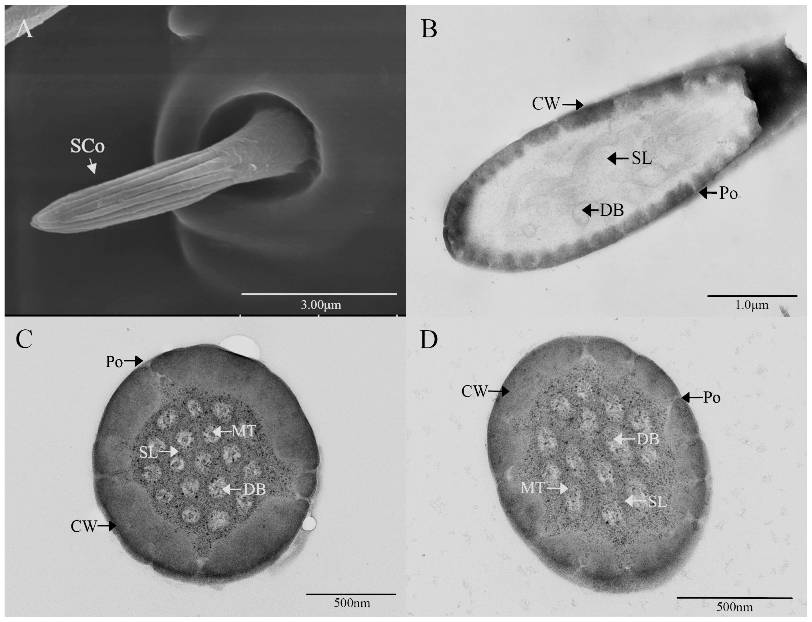 Insects 16 00573 g007