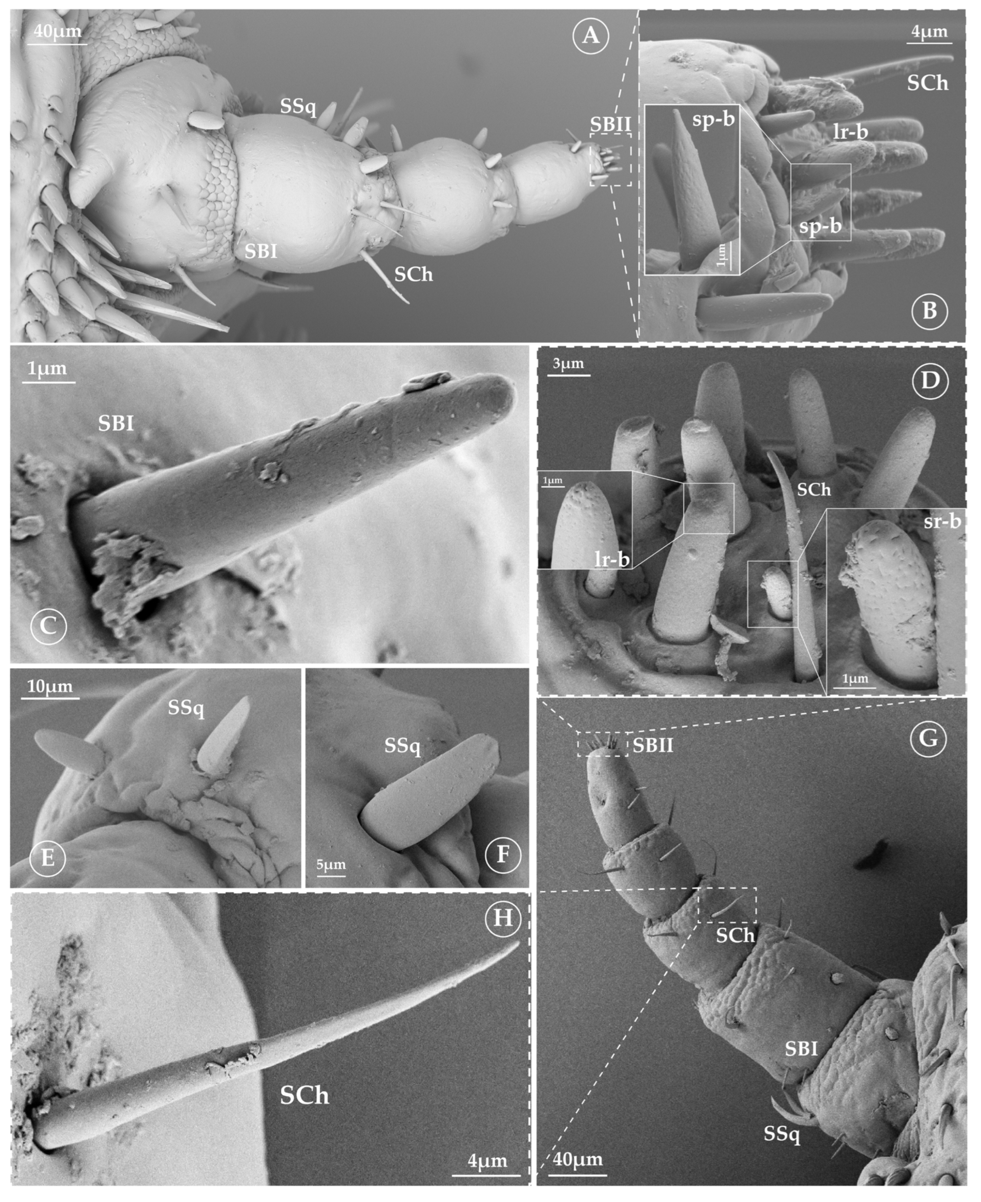 Insects 16 00574 g002