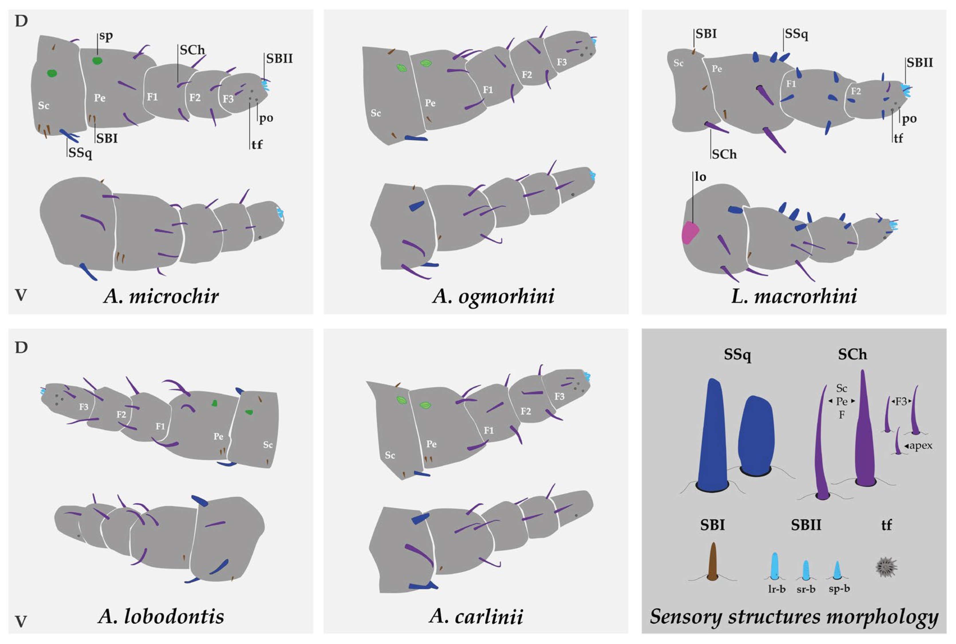 Insects 16 00574 g003