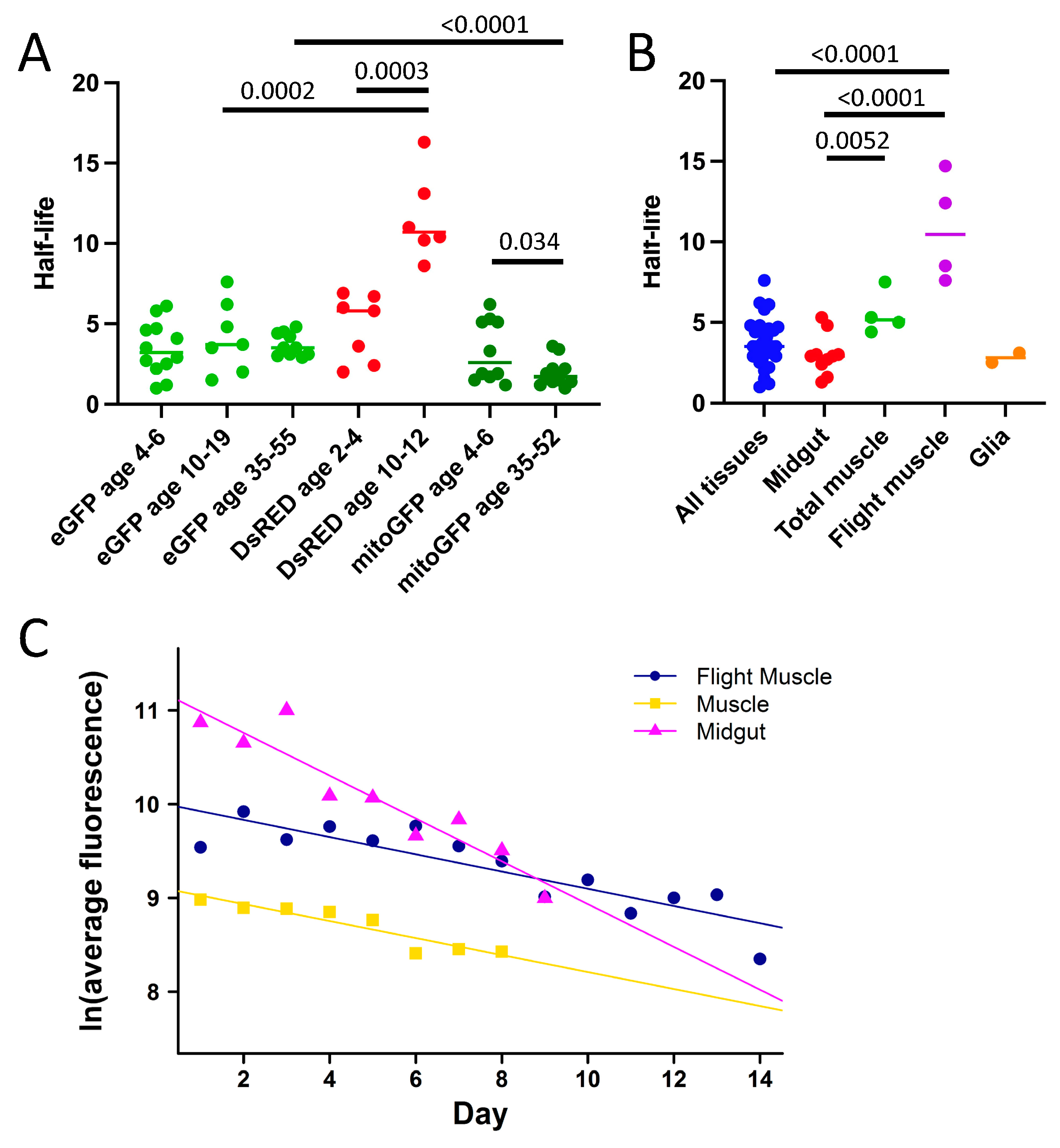 Insects 16 00583 g003
