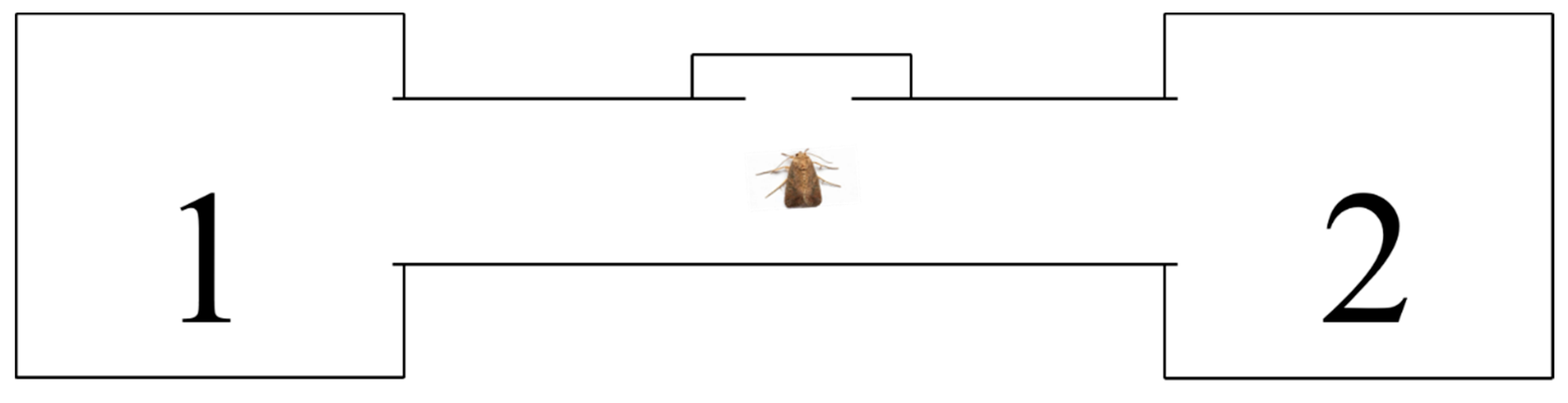 Insects 16 00592 g001