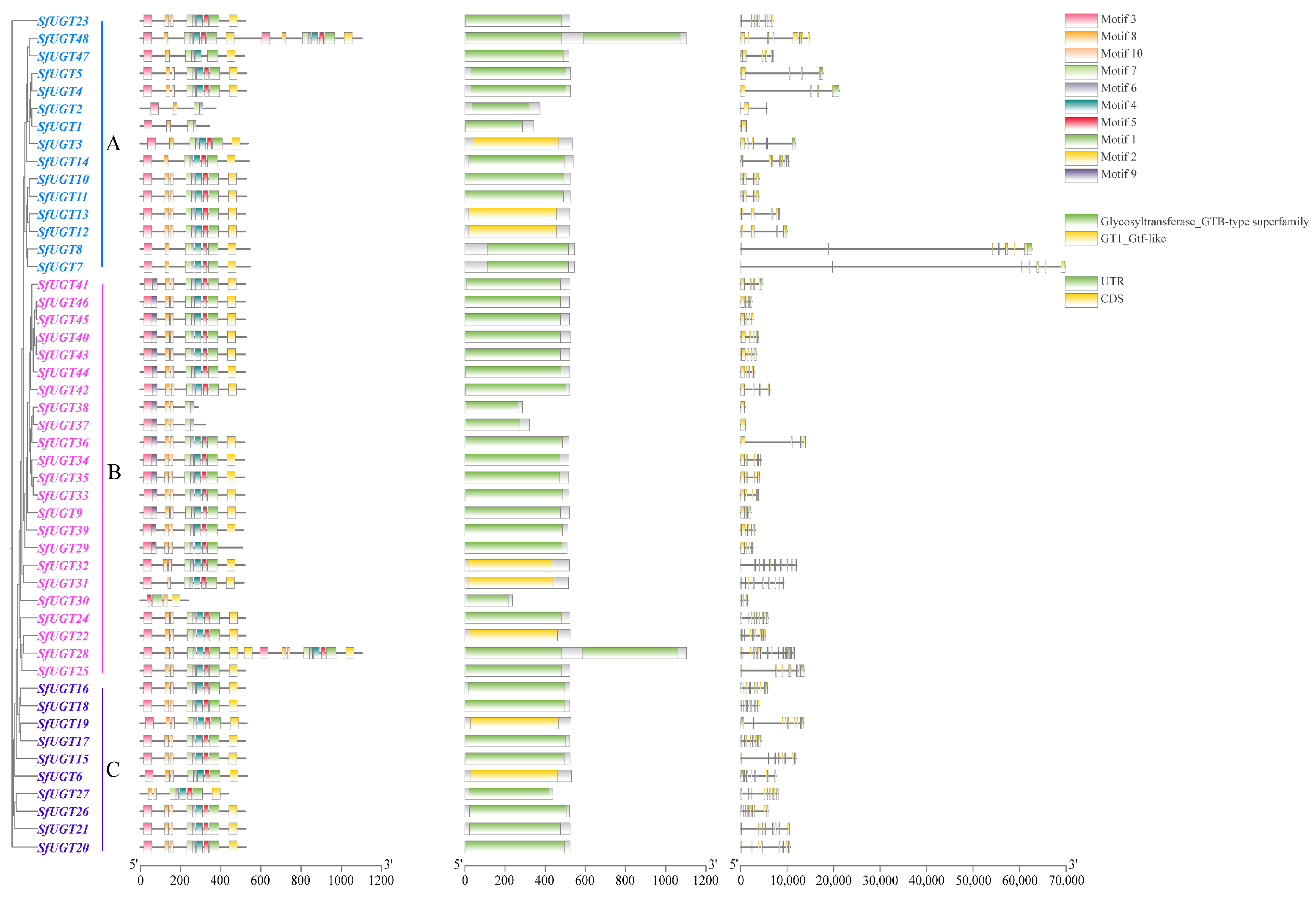 Insects 16 00601 g002