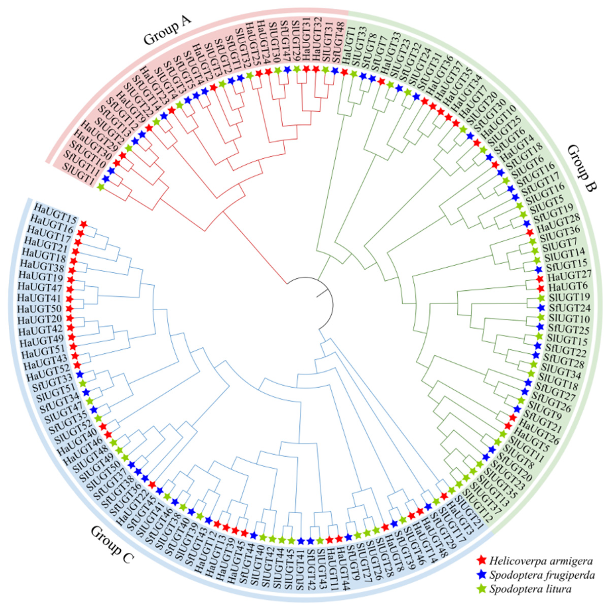 Insects 16 00601 g003