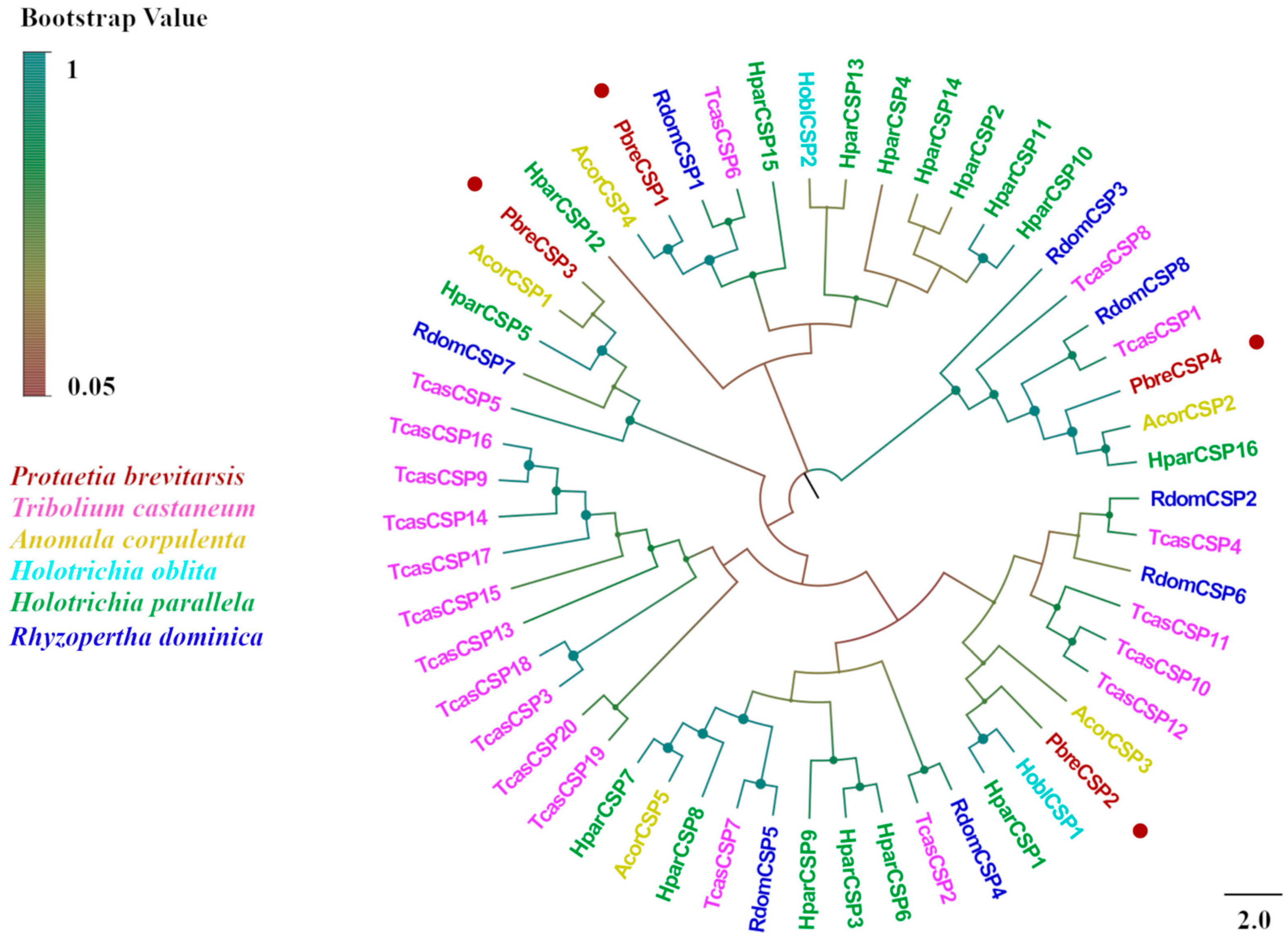 Insects 16 00607 g007